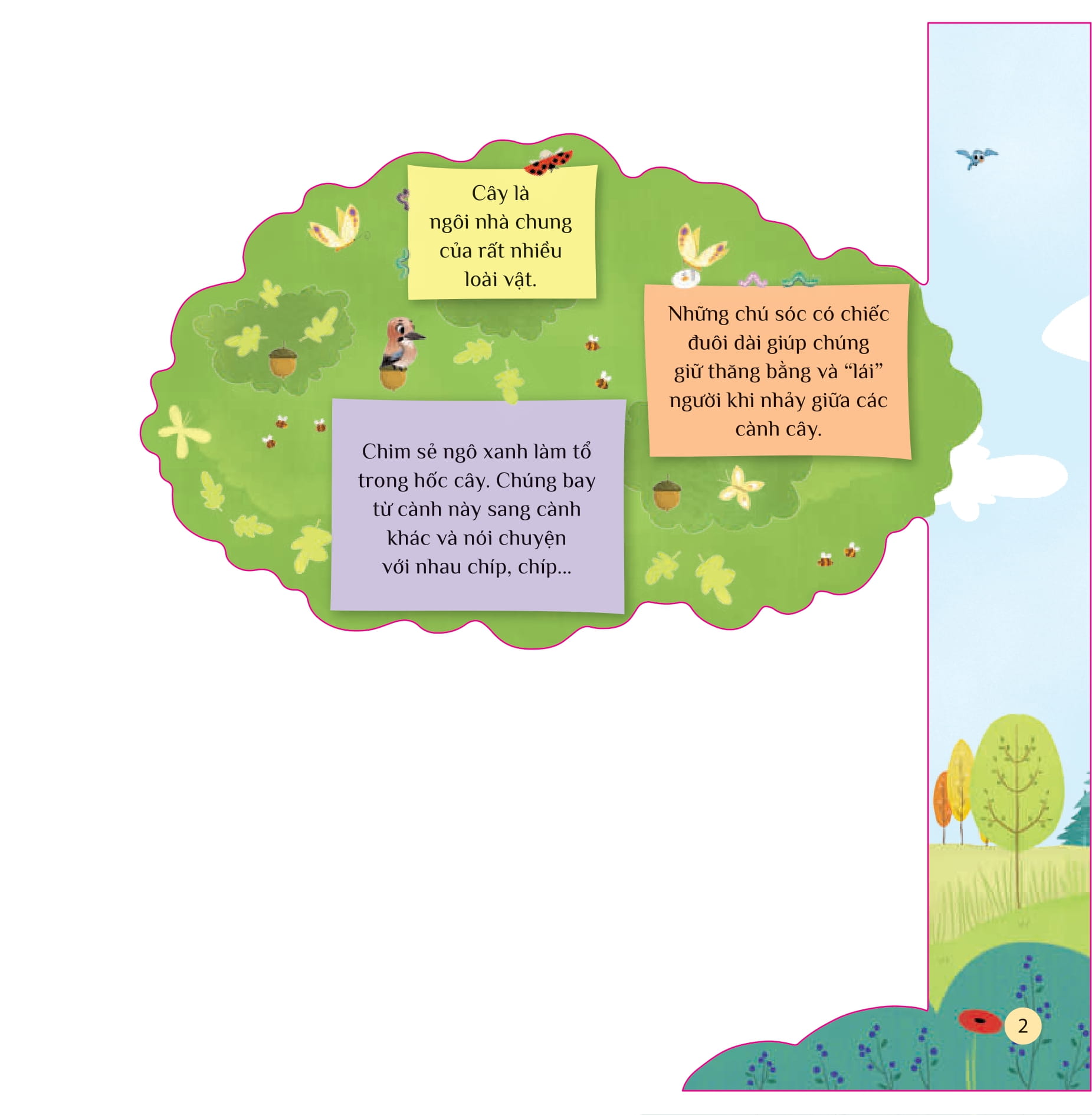 tò mò muốn biết… trên cây cao