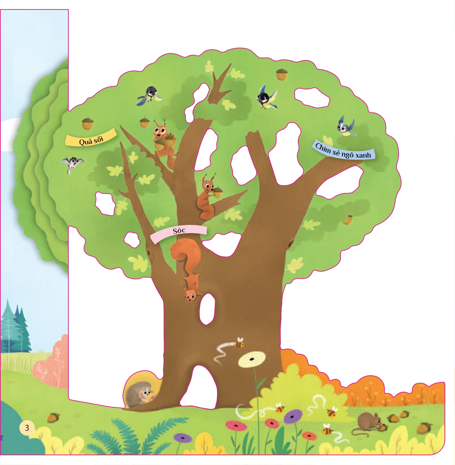 tò mò muốn biết… trên cây cao