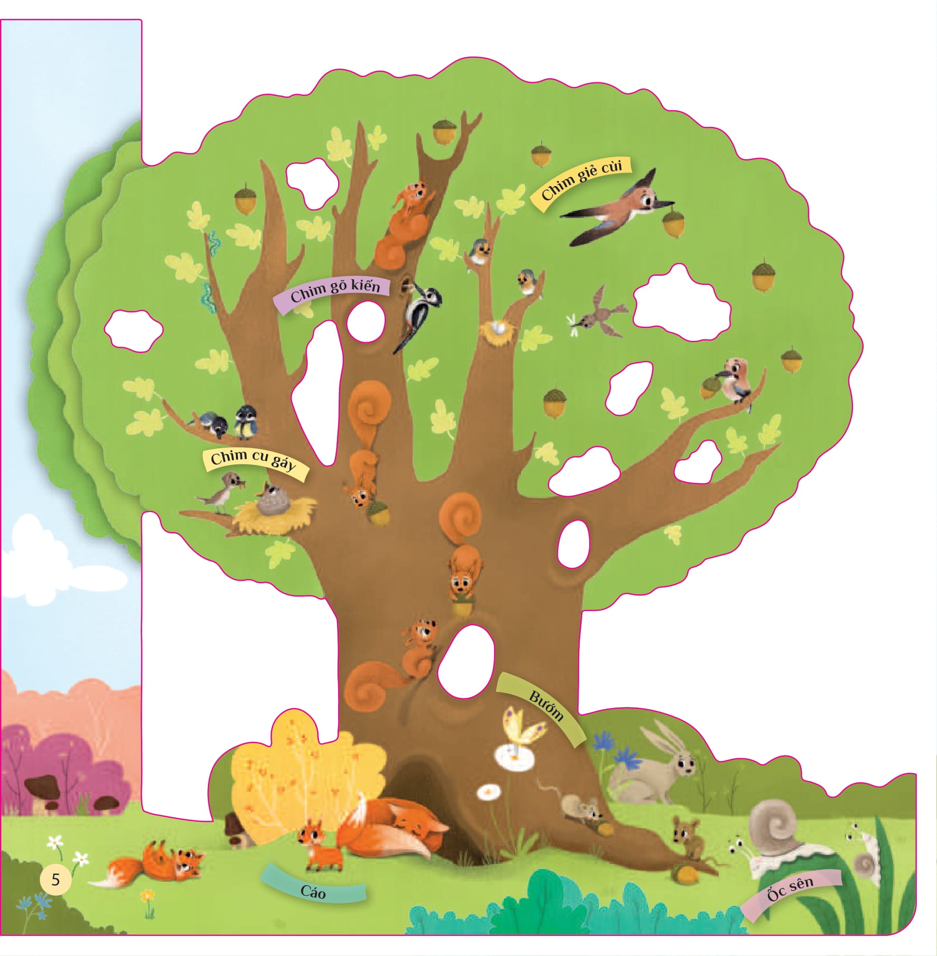 tò mò muốn biết… trên cây cao