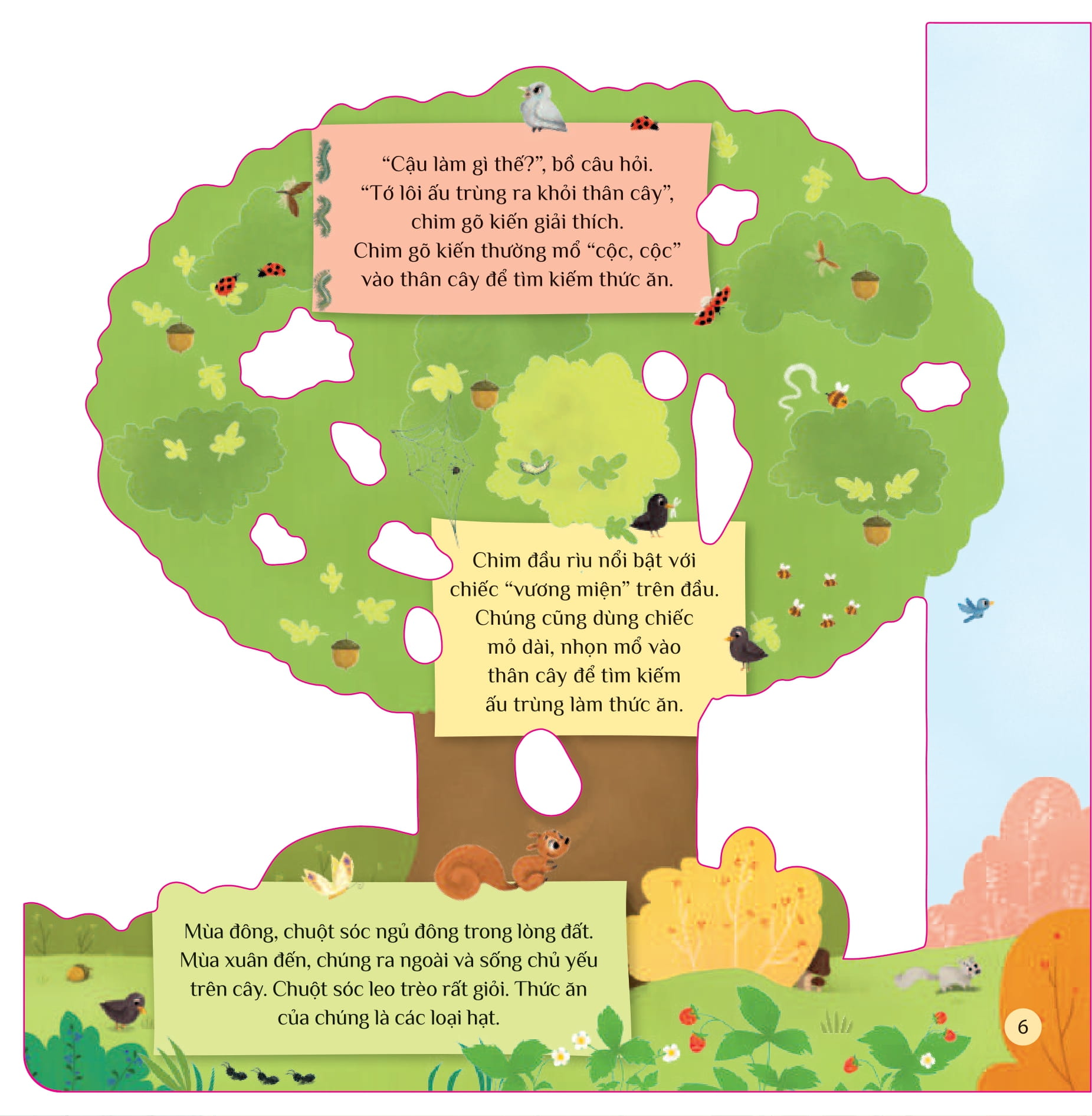 tò mò muốn biết… trên cây cao