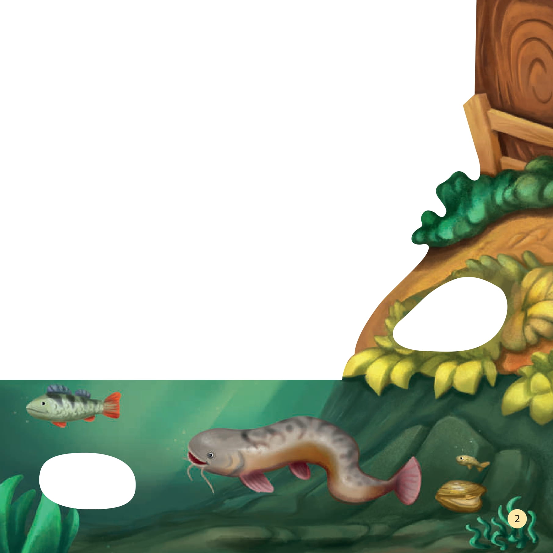 tò mò muốn biết… trên mặt nước