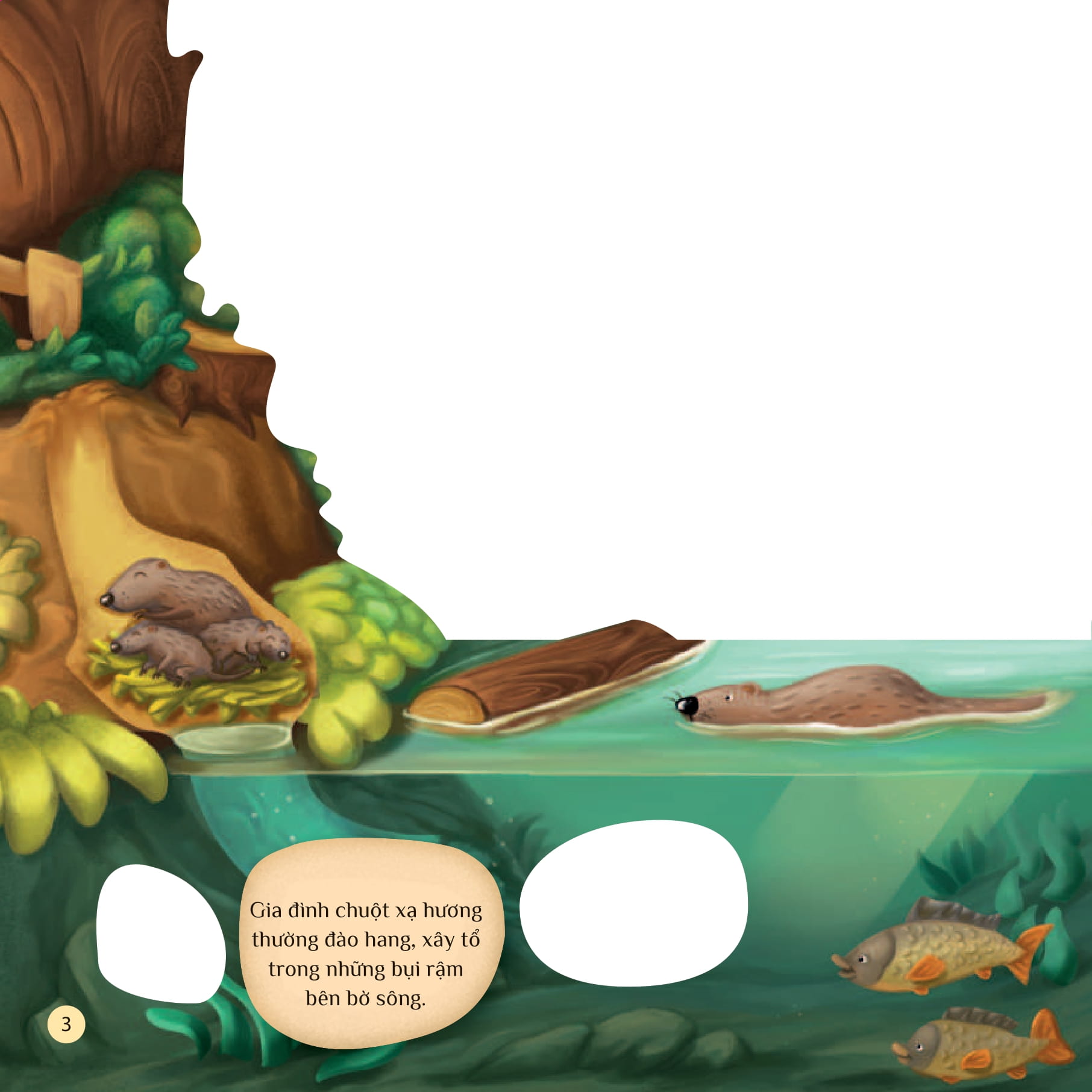 tò mò muốn biết… trên mặt nước