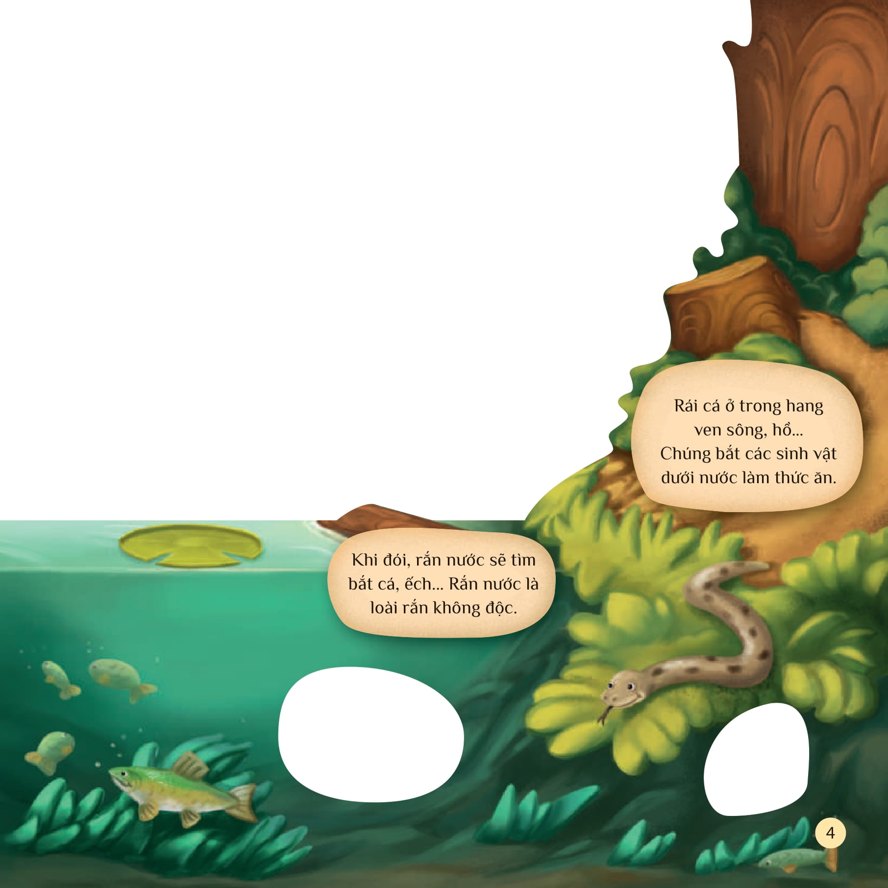 tò mò muốn biết… trên mặt nước