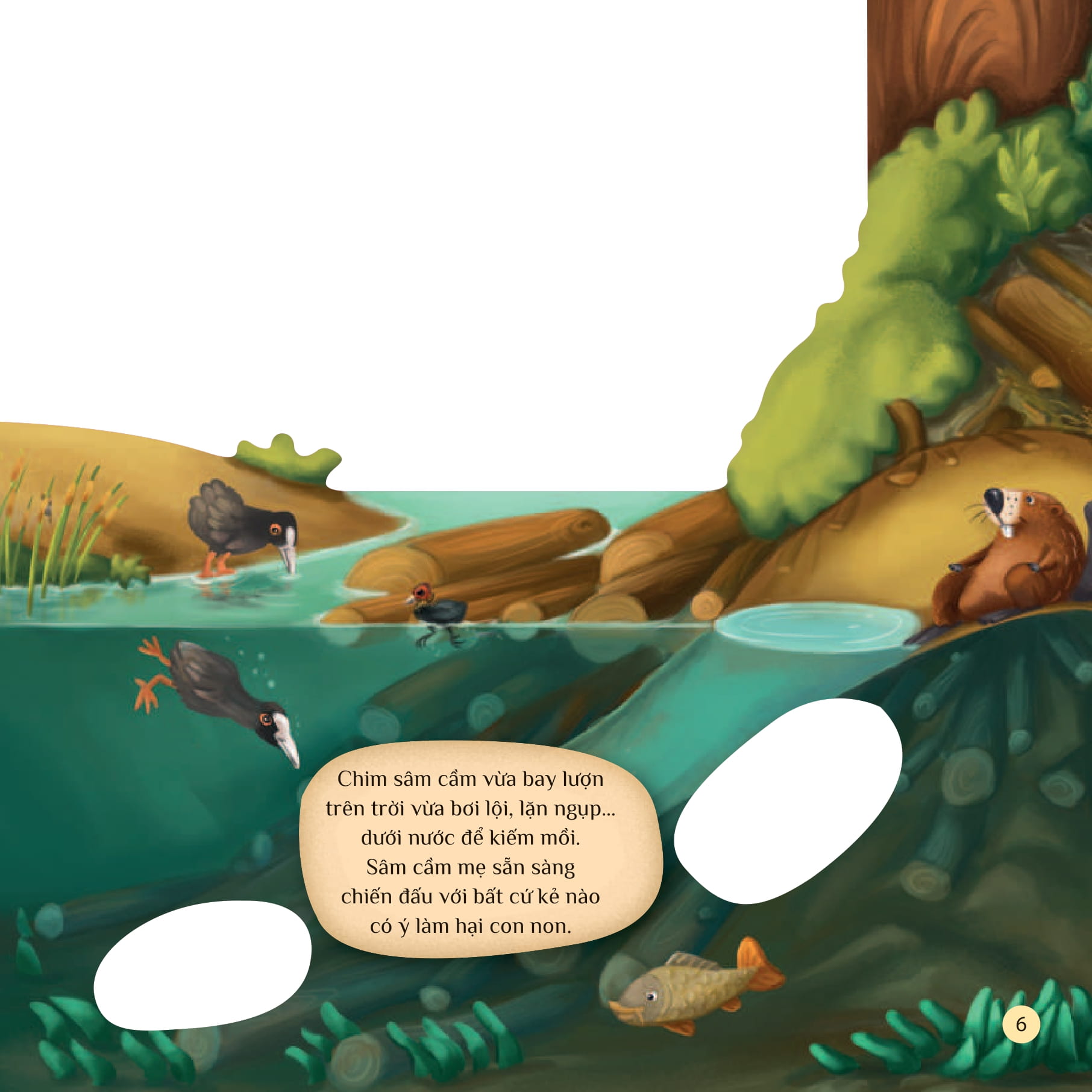 tò mò muốn biết… trên mặt nước