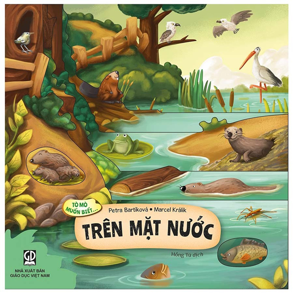 Tò Mò Muốn Biết... - Trên Thảo Nguyên - Bìa Cứng