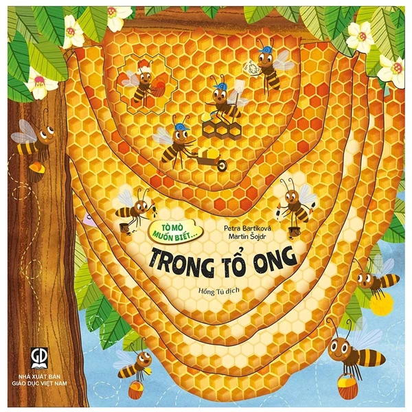 Tò Mò Muốn Biết... - Trong Bóng Đêm - Bìa Cứng