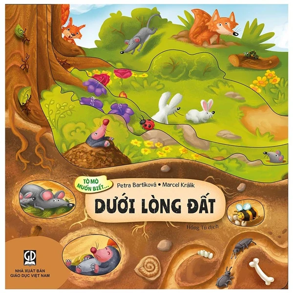 Tò Mò Muốn Biết... - Trong Bóng Đêm - Bìa Cứng