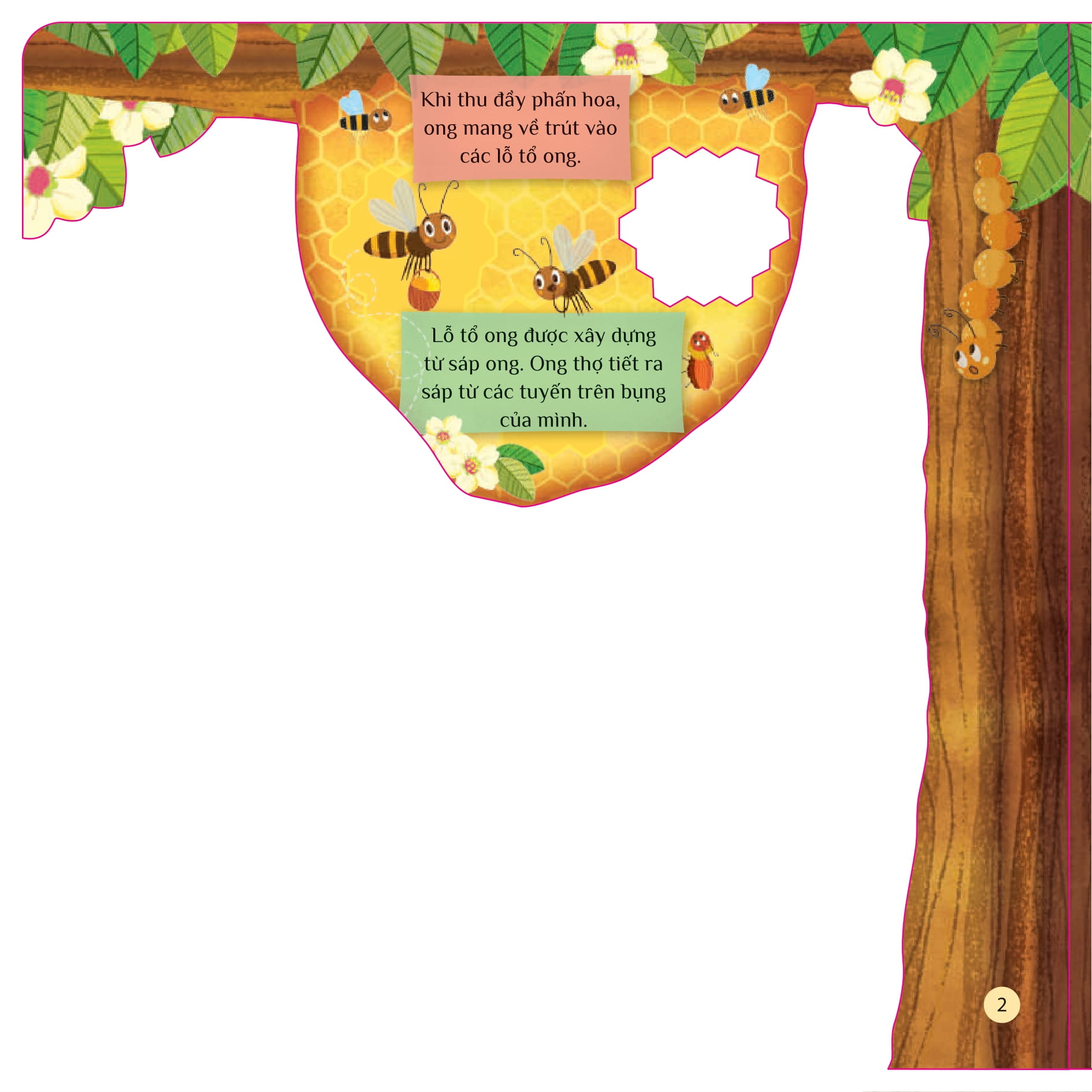 tò mò muốn biết... trong tổ ong