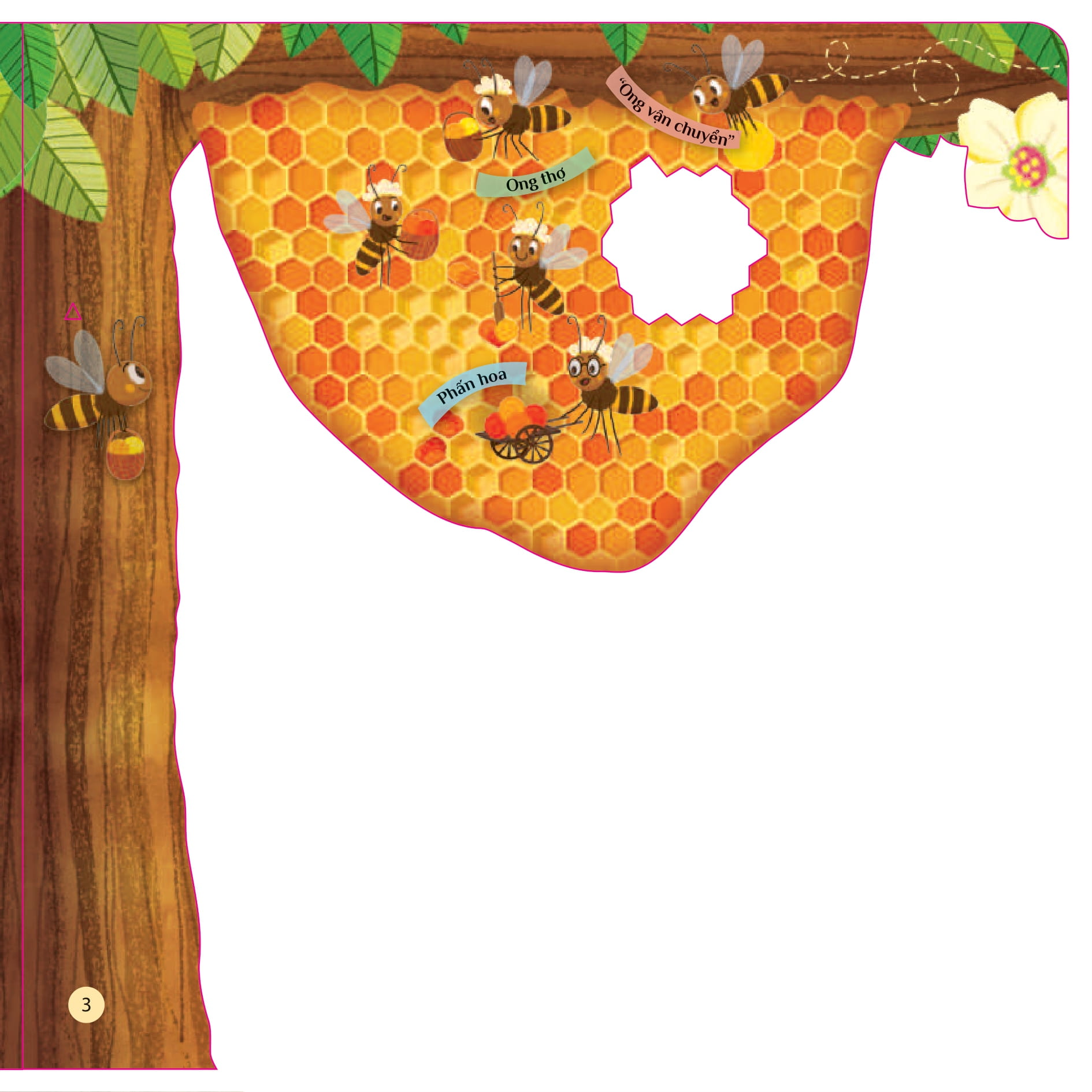 tò mò muốn biết... trong tổ ong