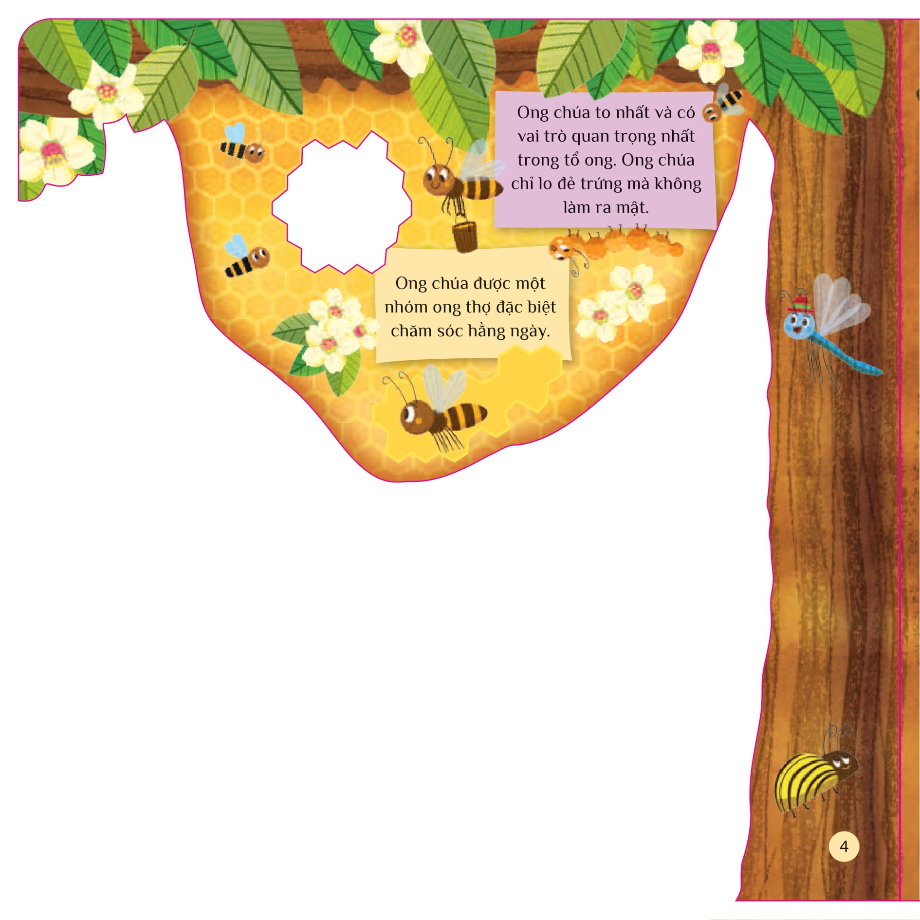 tò mò muốn biết... trong tổ ong