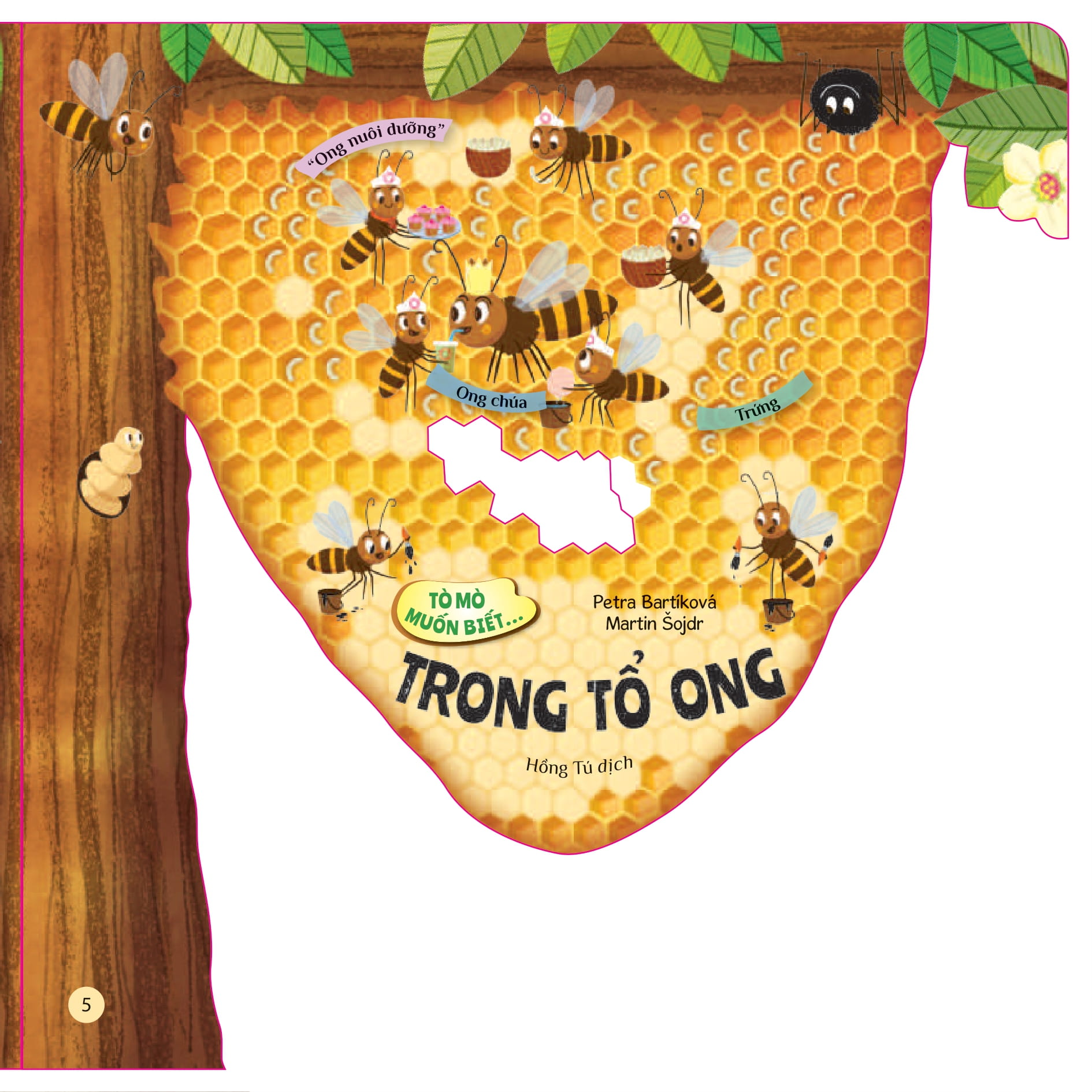 tò mò muốn biết... trong tổ ong