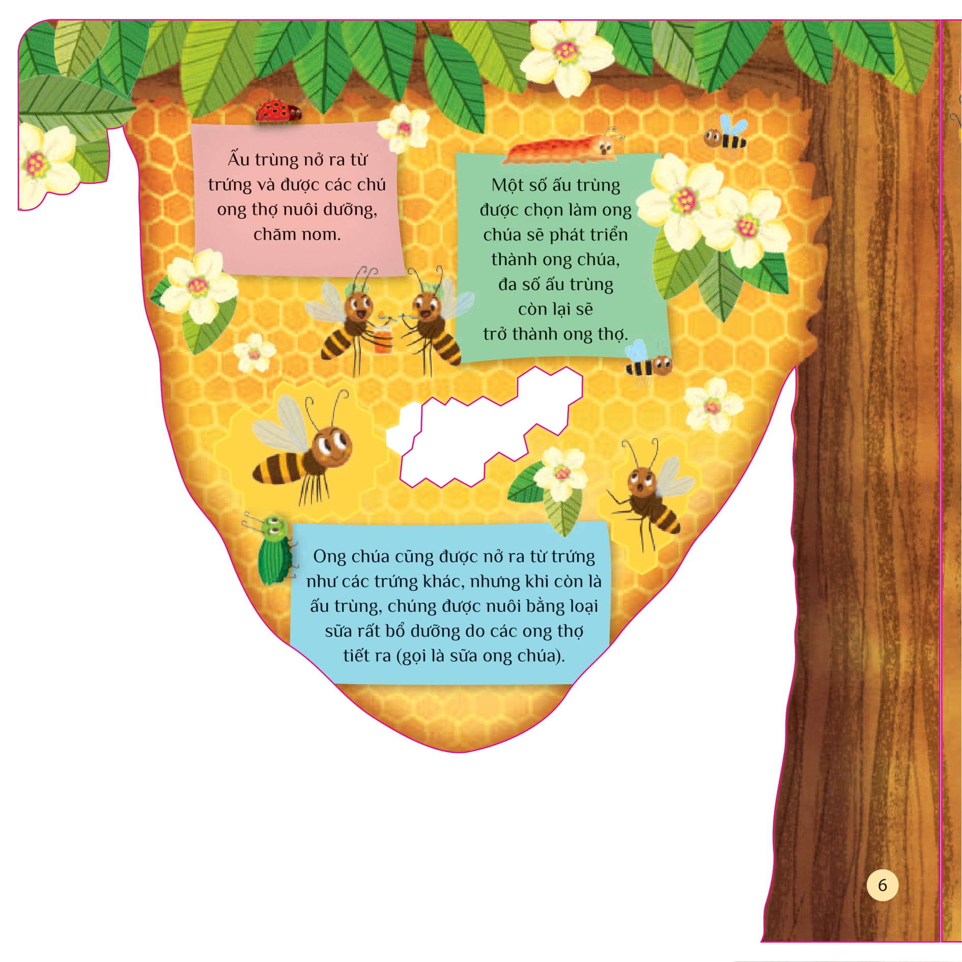 tò mò muốn biết... trong tổ ong