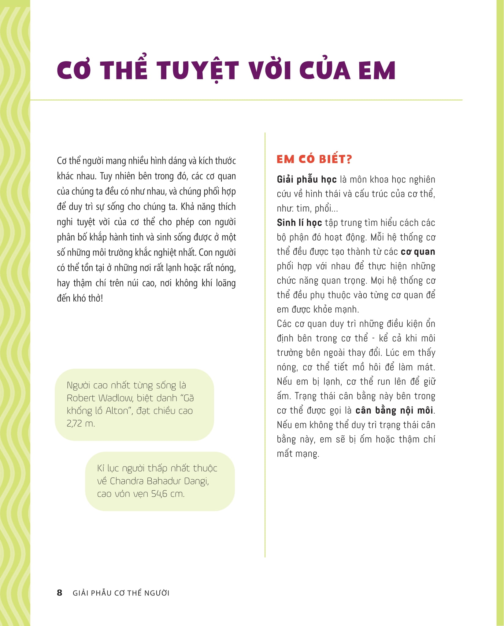 tớ muốn biết tuốt - giải phẫu cơ thể người