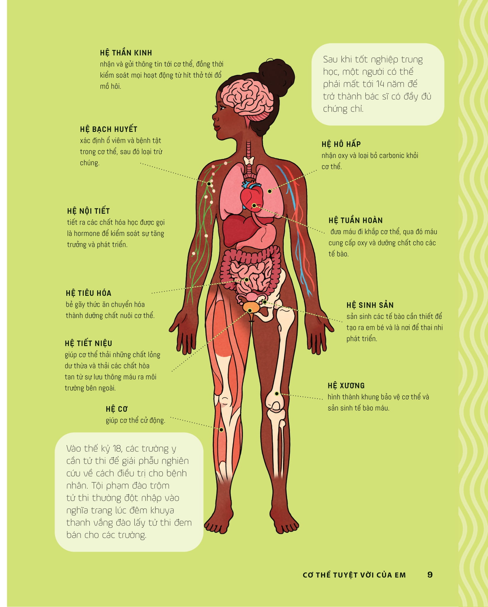 tớ muốn biết tuốt - giải phẫu cơ thể người