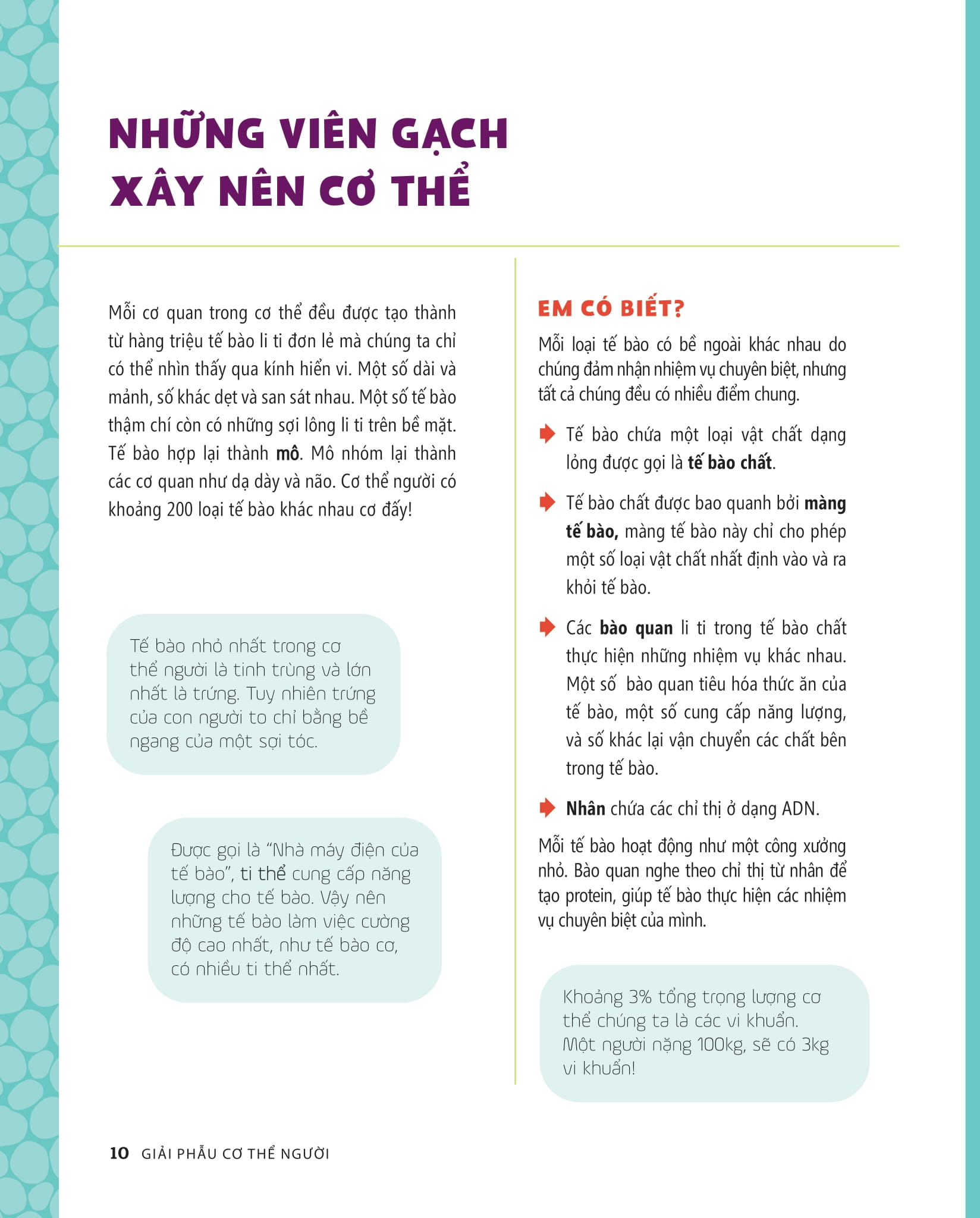 tớ muốn biết tuốt - giải phẫu cơ thể người