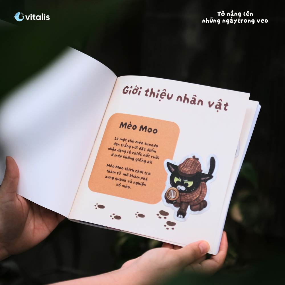 Tô Nắng Lên Những Ngày Trong Veo