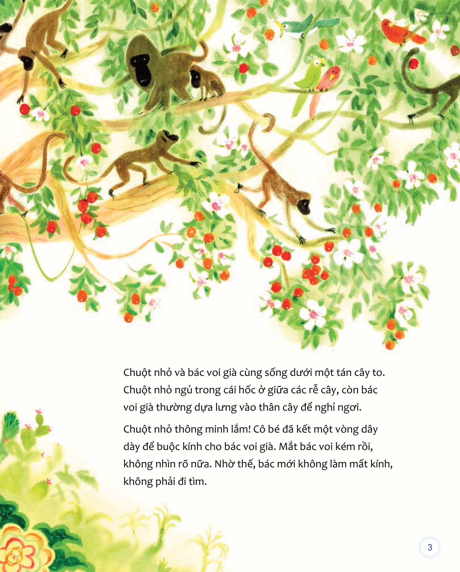 To Thay…Ban Thay…Nhung Goc Nhin Khac - Doi Ban