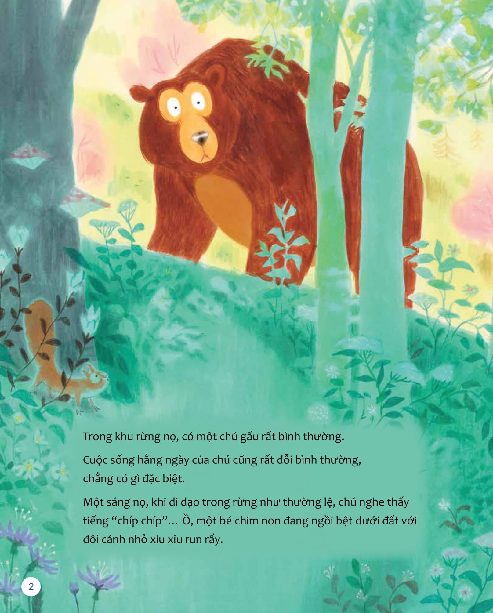 To Thay…Ban Thay…Nhung Goc Nhin Khac - Gau Khong Thich "Binh Thuong"