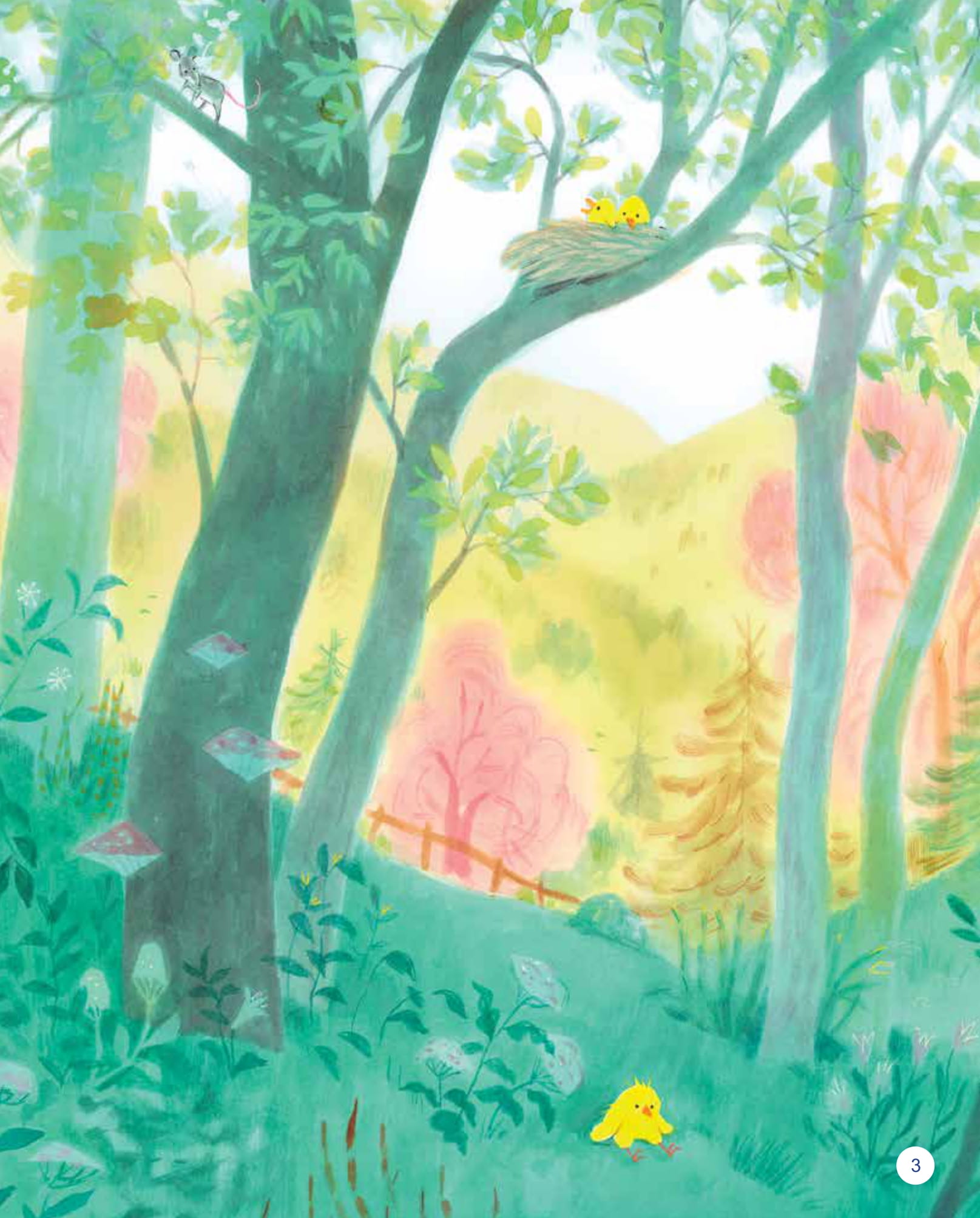 To Thay…Ban Thay…Nhung Goc Nhin Khac - Gau Khong Thich "Binh Thuong"