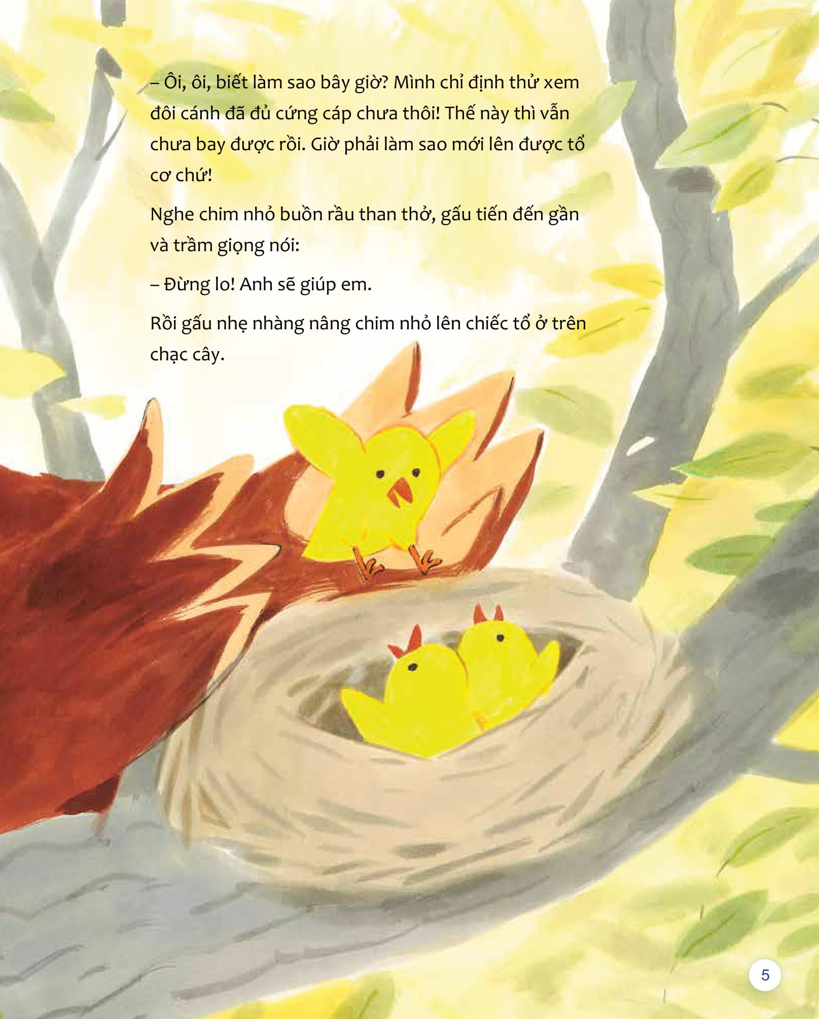 To Thay…Ban Thay…Nhung Goc Nhin Khac - Gau Khong Thich "Binh Thuong"