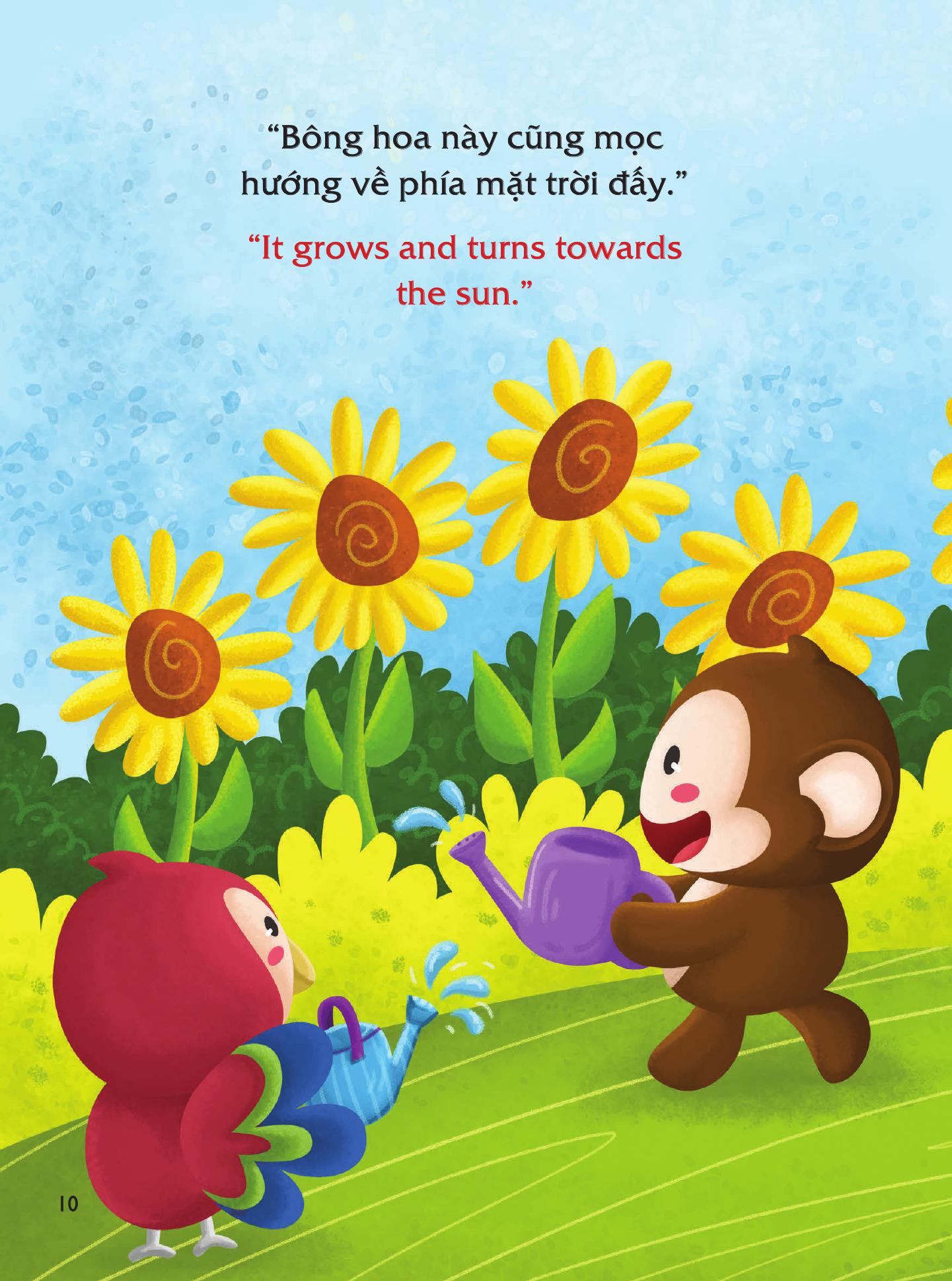 To Thong Minh, Ban Cung The - Tri Thong Minh Thien Nhien - Song Ngu Viet-Anh