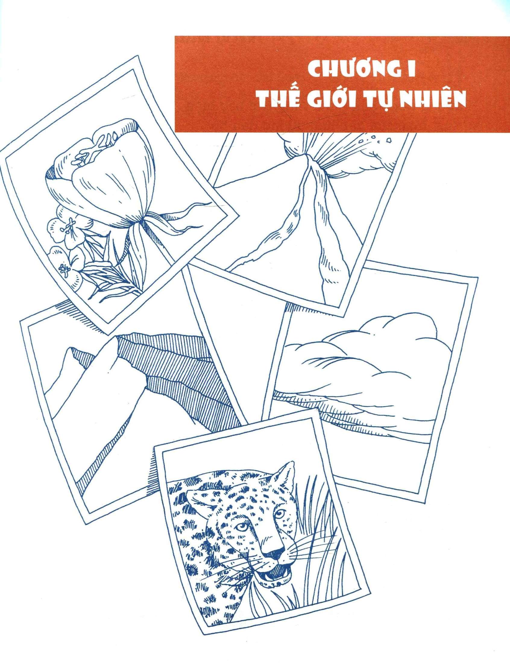 tớ tư duy như một nhà tự nhiên học - tất tần tật về tự nhiên (tái bản 2024)