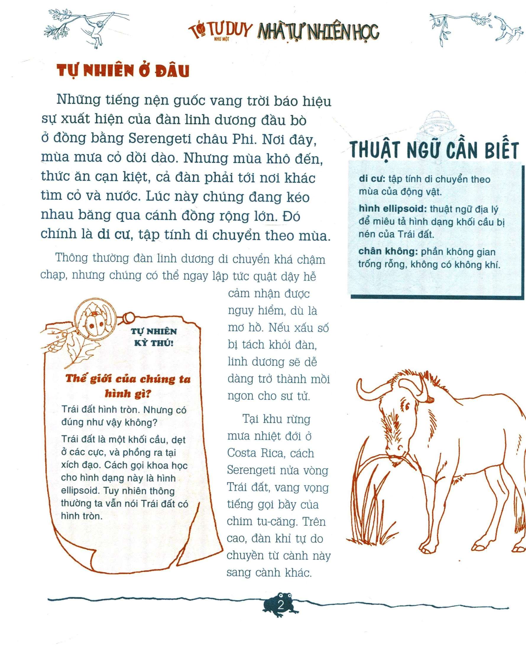 tớ tư duy như một nhà tự nhiên học - tất tần tật về tự nhiên (tái bản 2024)