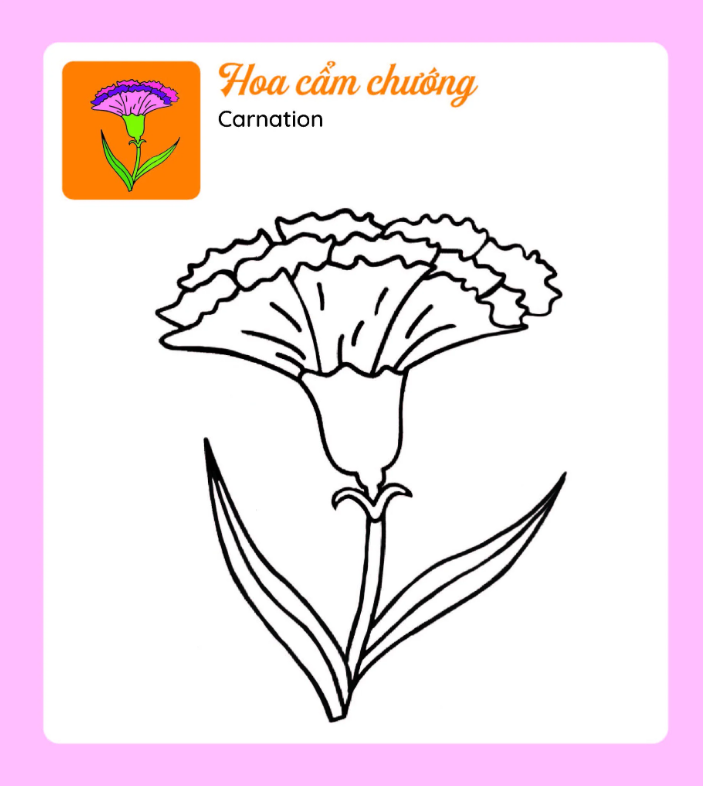 tớ tự tô - những bông hoa xinh