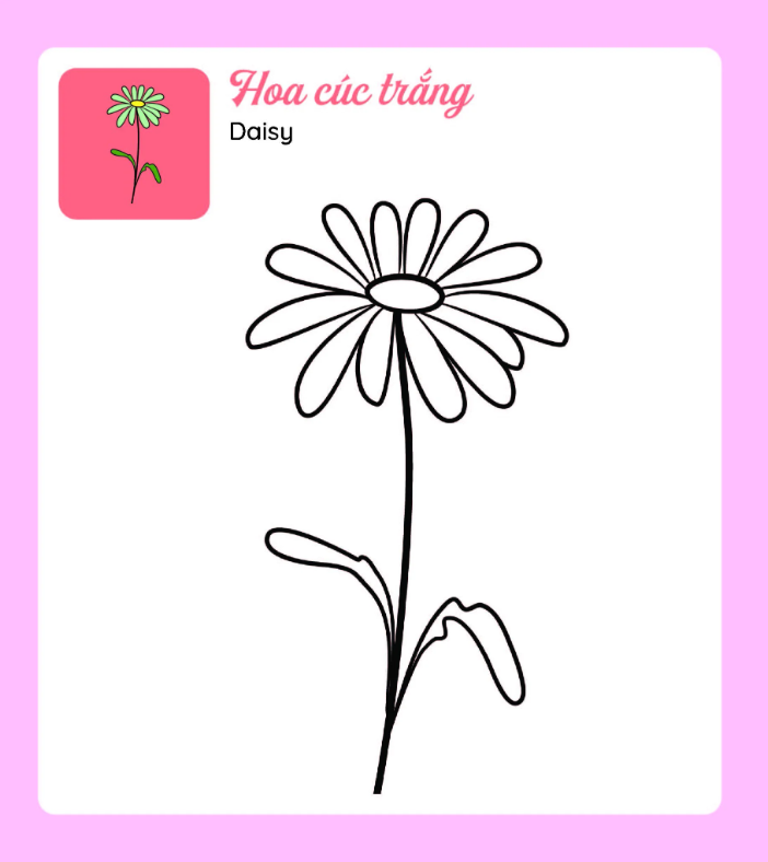 tớ tự tô - những bông hoa xinh