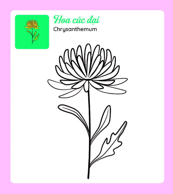 tớ tự tô - những bông hoa xinh