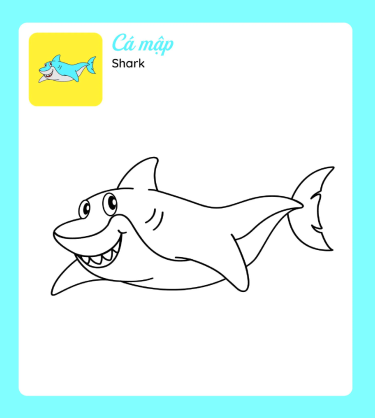 tớ tự tô - những người bạn dưới nước