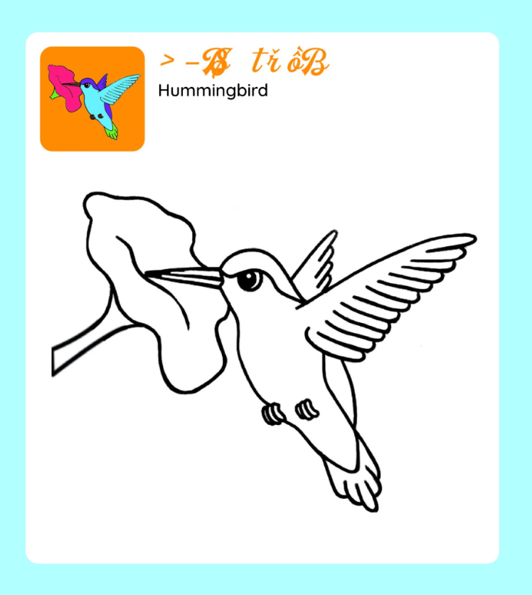 tớ tự tô - xứ sở chim muông