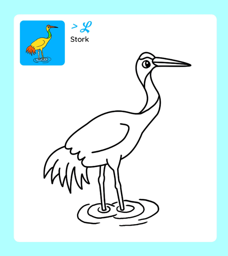 tớ tự tô - xứ sở chim muông