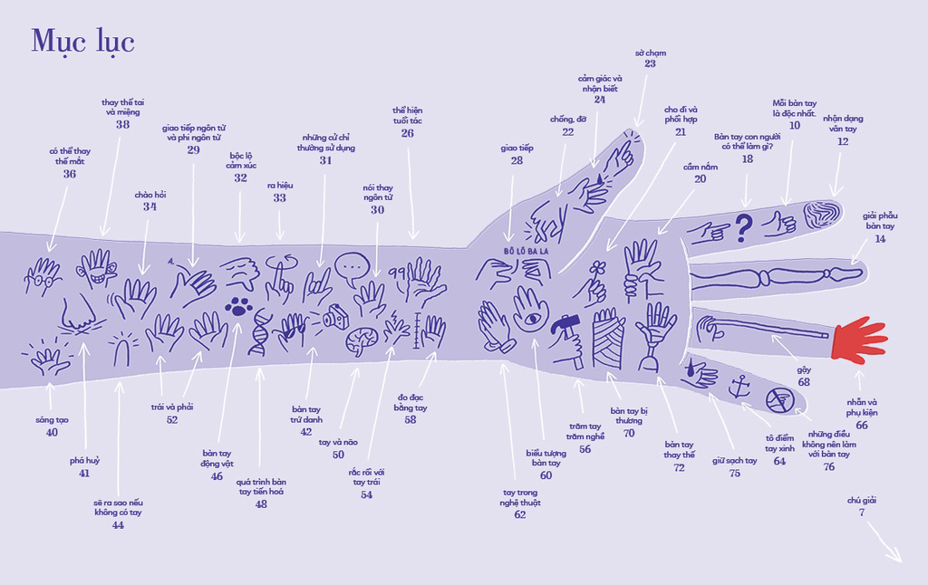 tỏ tường tay ta - bách khoa toàn thư về đôi tay