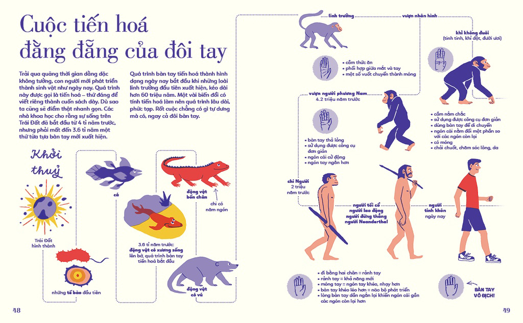 tỏ tường tay ta - bách khoa toàn thư về đôi tay