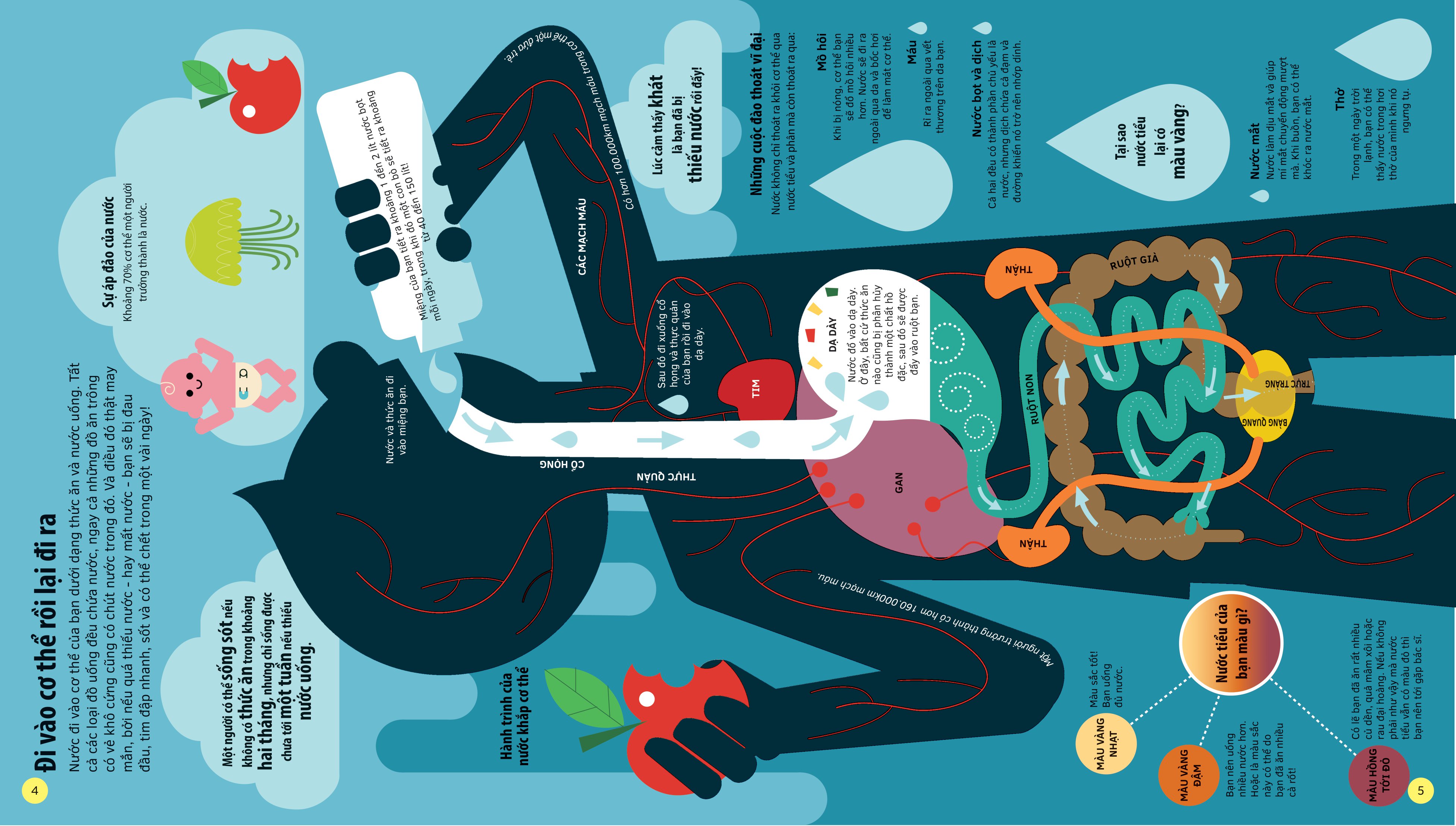 tớ yêu khoa học - the adventure of water - chuyến phiêu lưu của nước