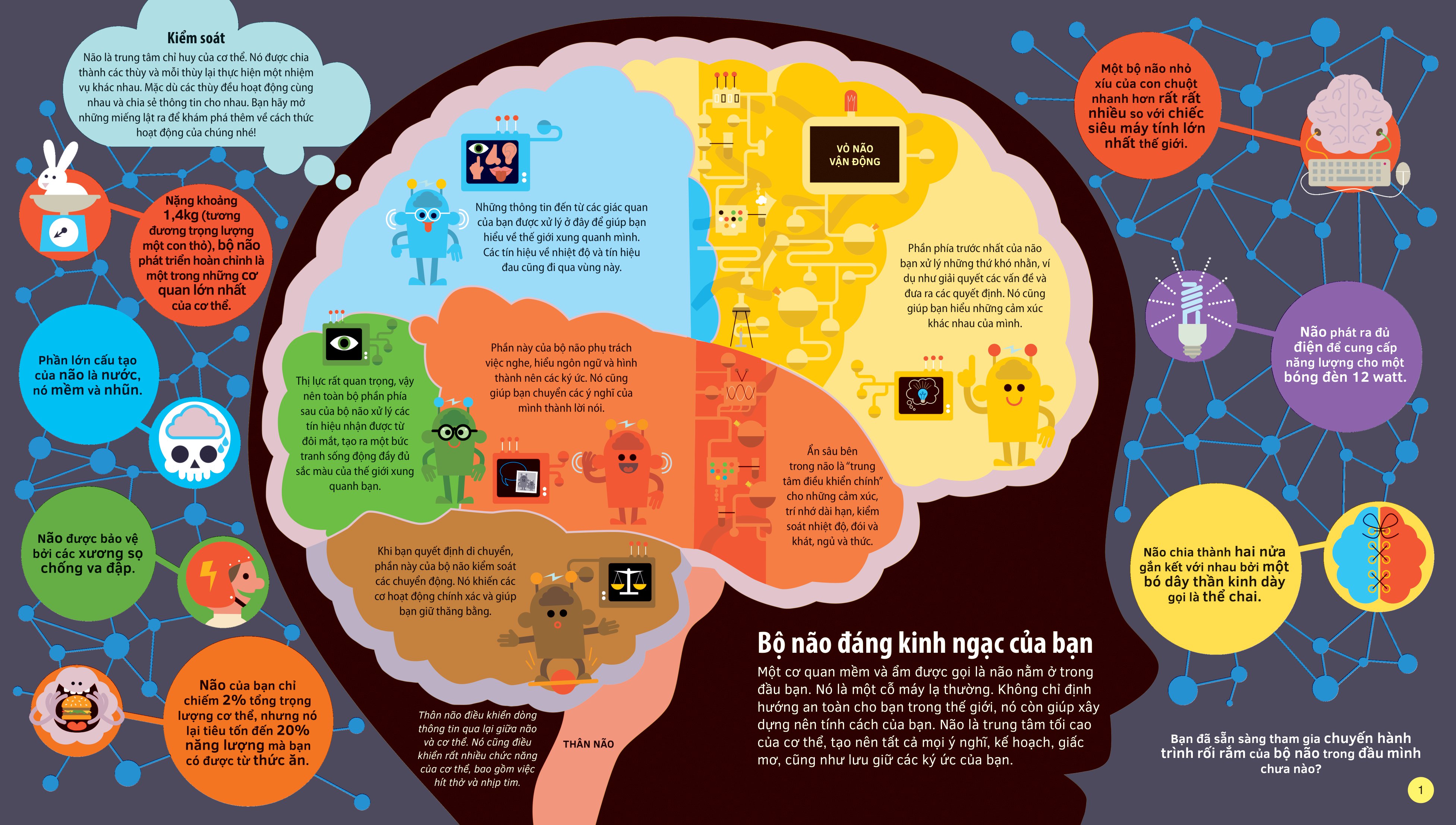 tớ yêu khoa học - the adventure of your brain - chuyến phiêu lưu của bộ não - bìa cứng