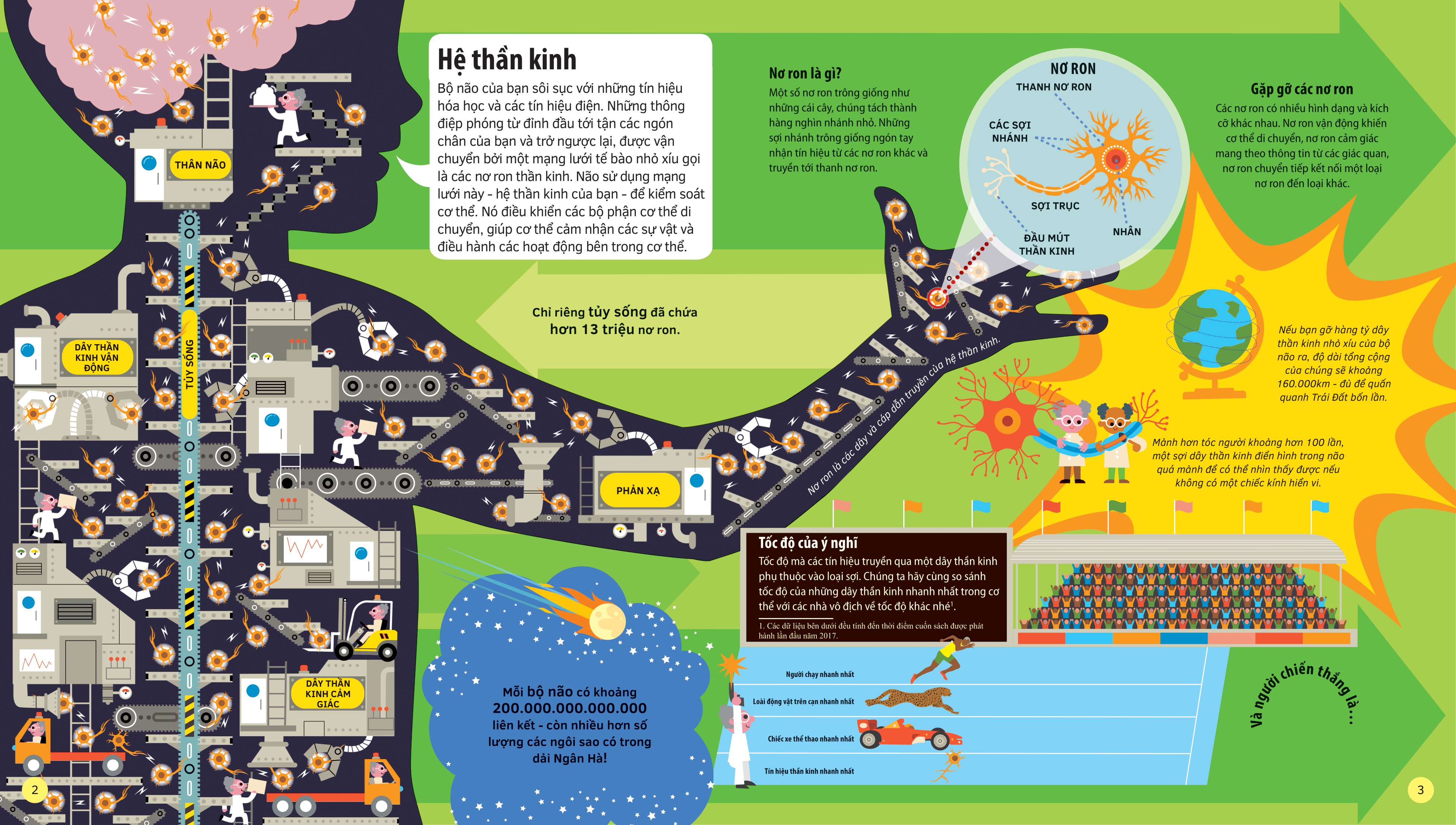 tớ yêu khoa học - the adventure of your brain - chuyến phiêu lưu của bộ não - bìa cứng