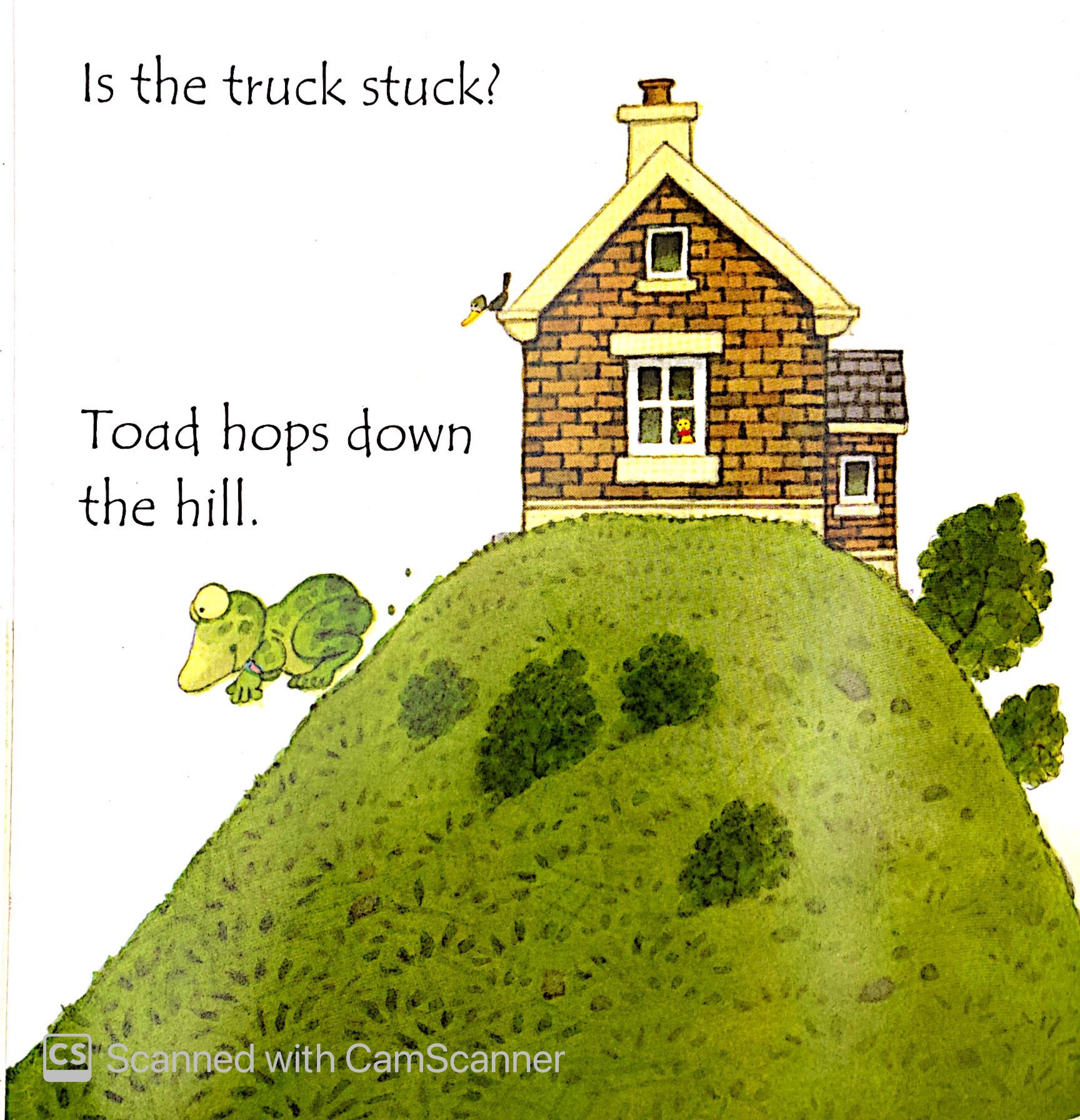 toad makes a road