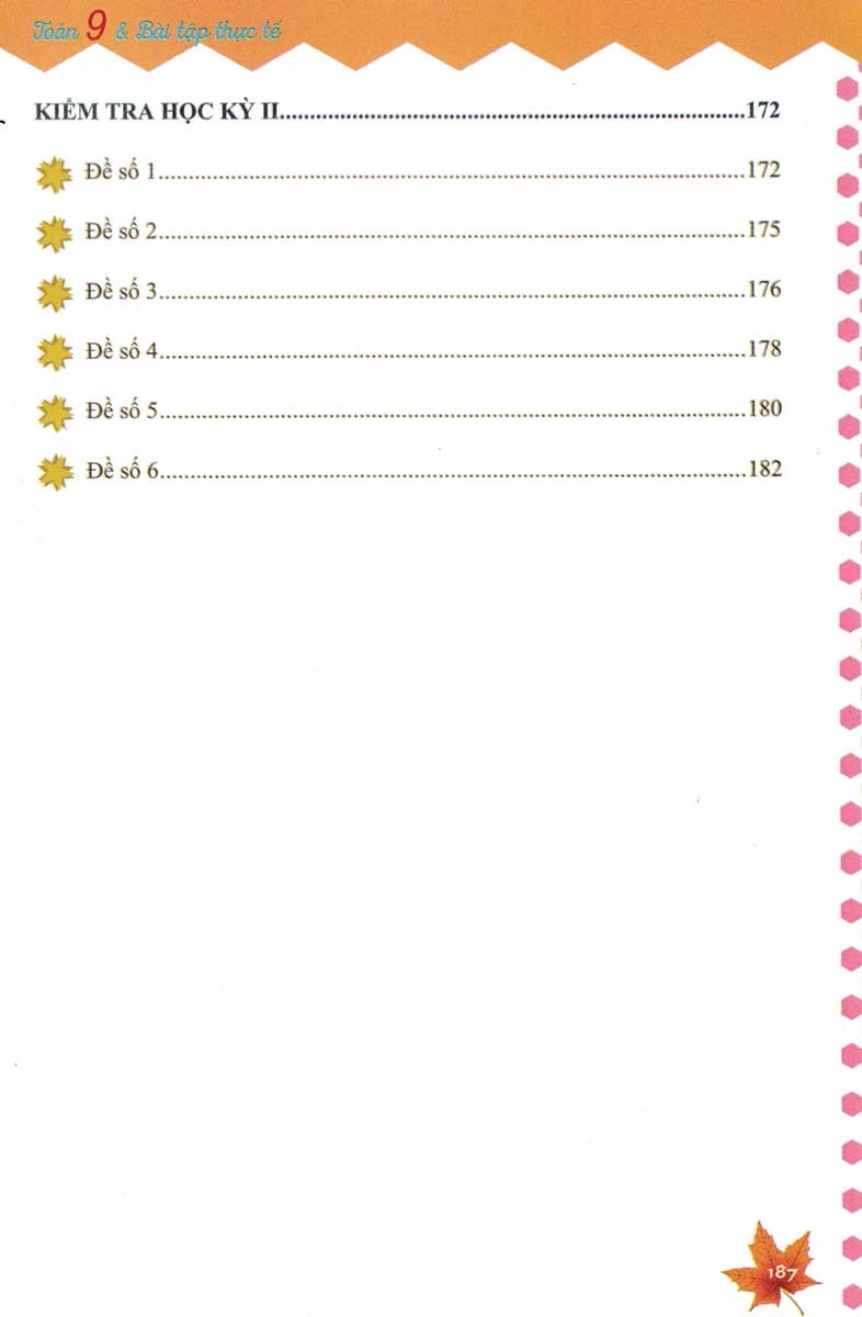 toán 9 và bài toán thực tế