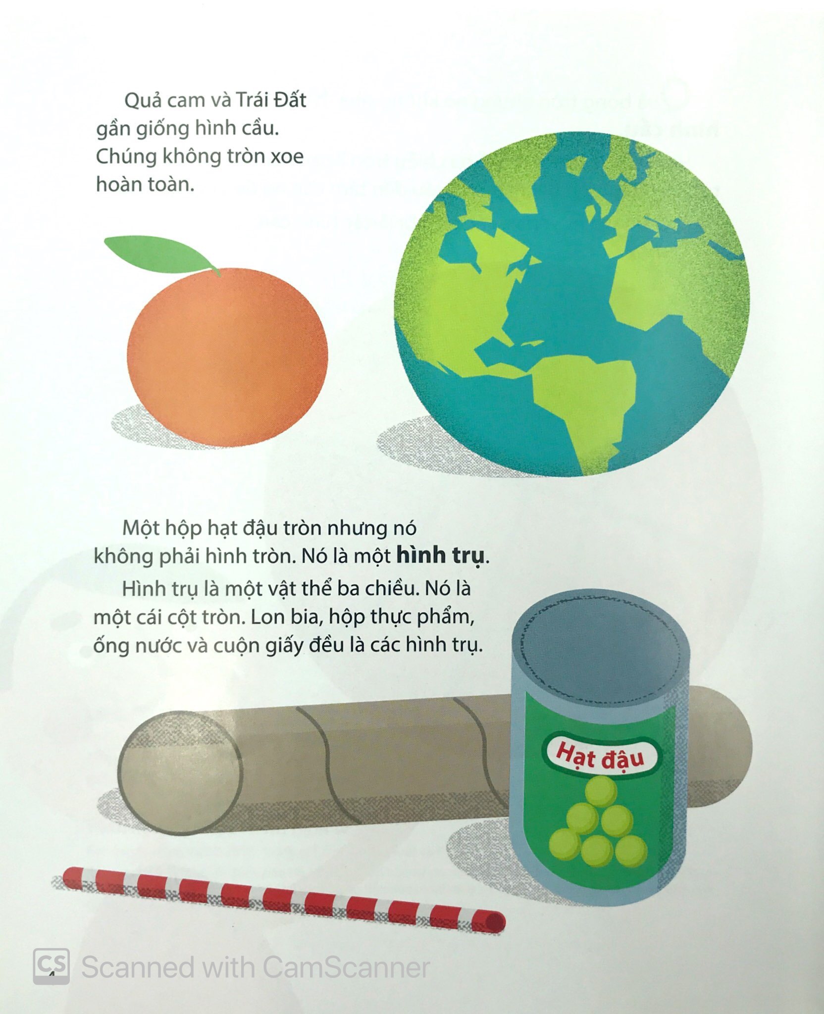 toán học vui nhộn - hình tròn đáng yêu