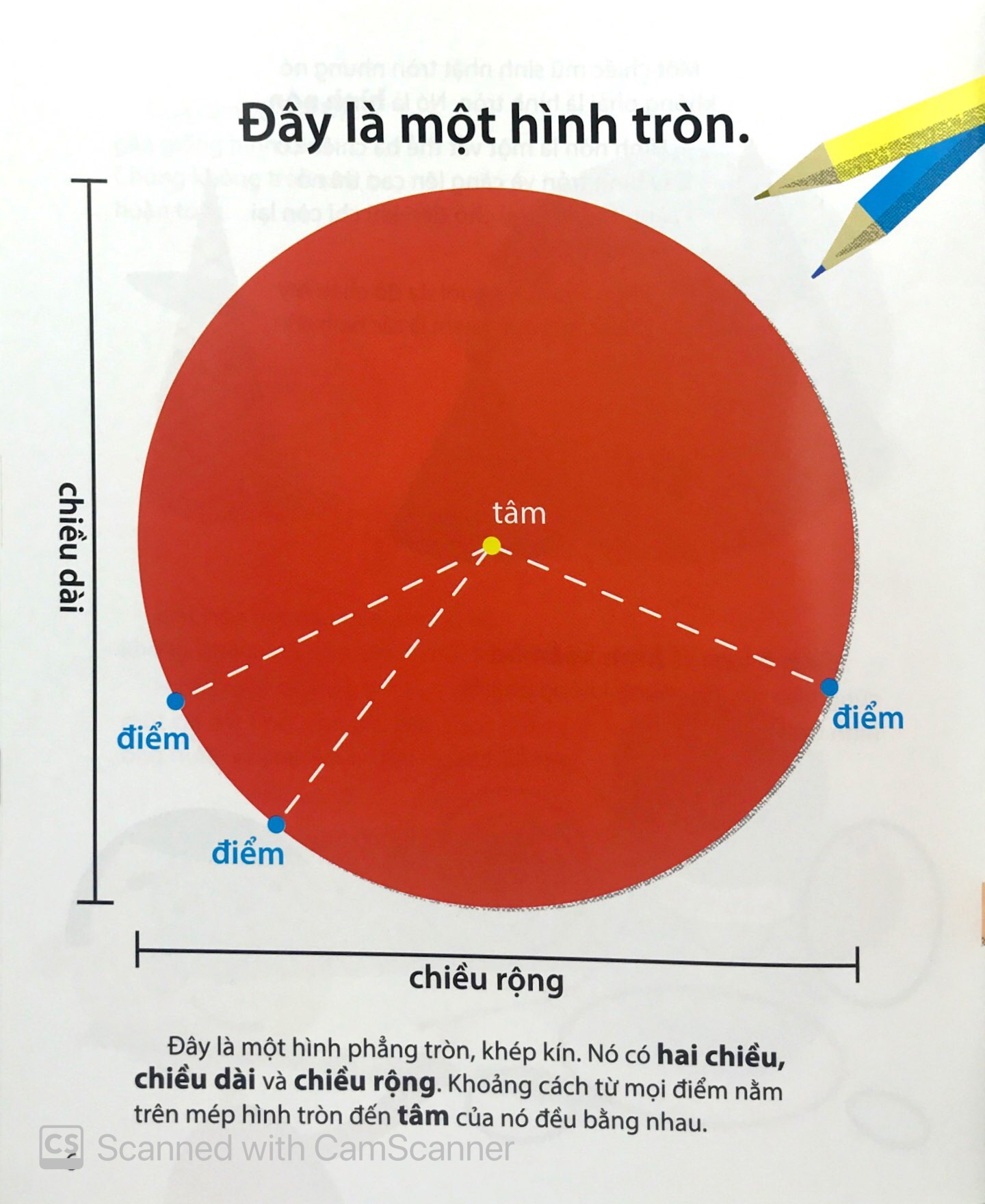 toán học vui nhộn - hình tròn đáng yêu