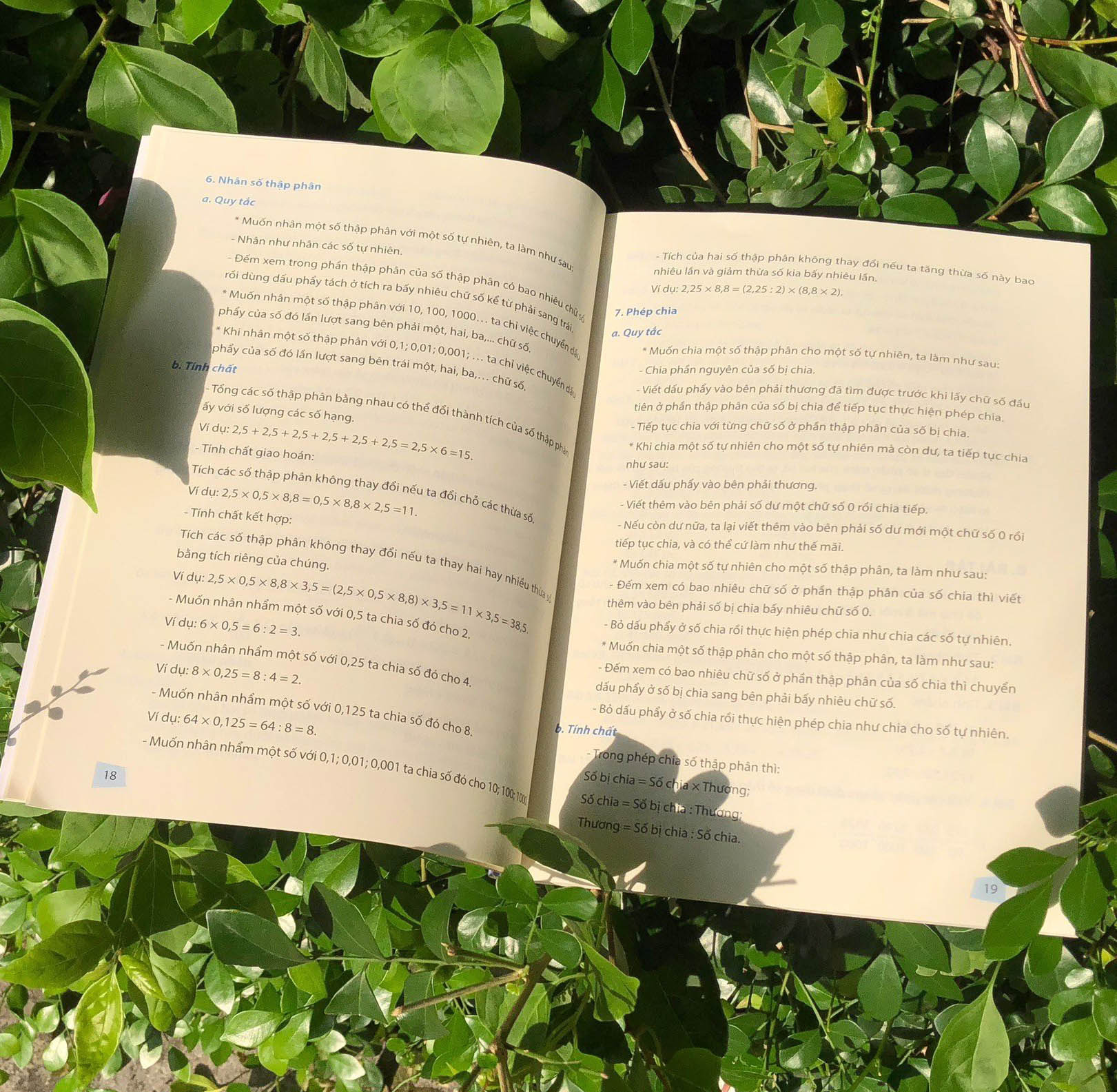 toán nâng cao và bồi dưỡng học sinh giỏi lớp 5