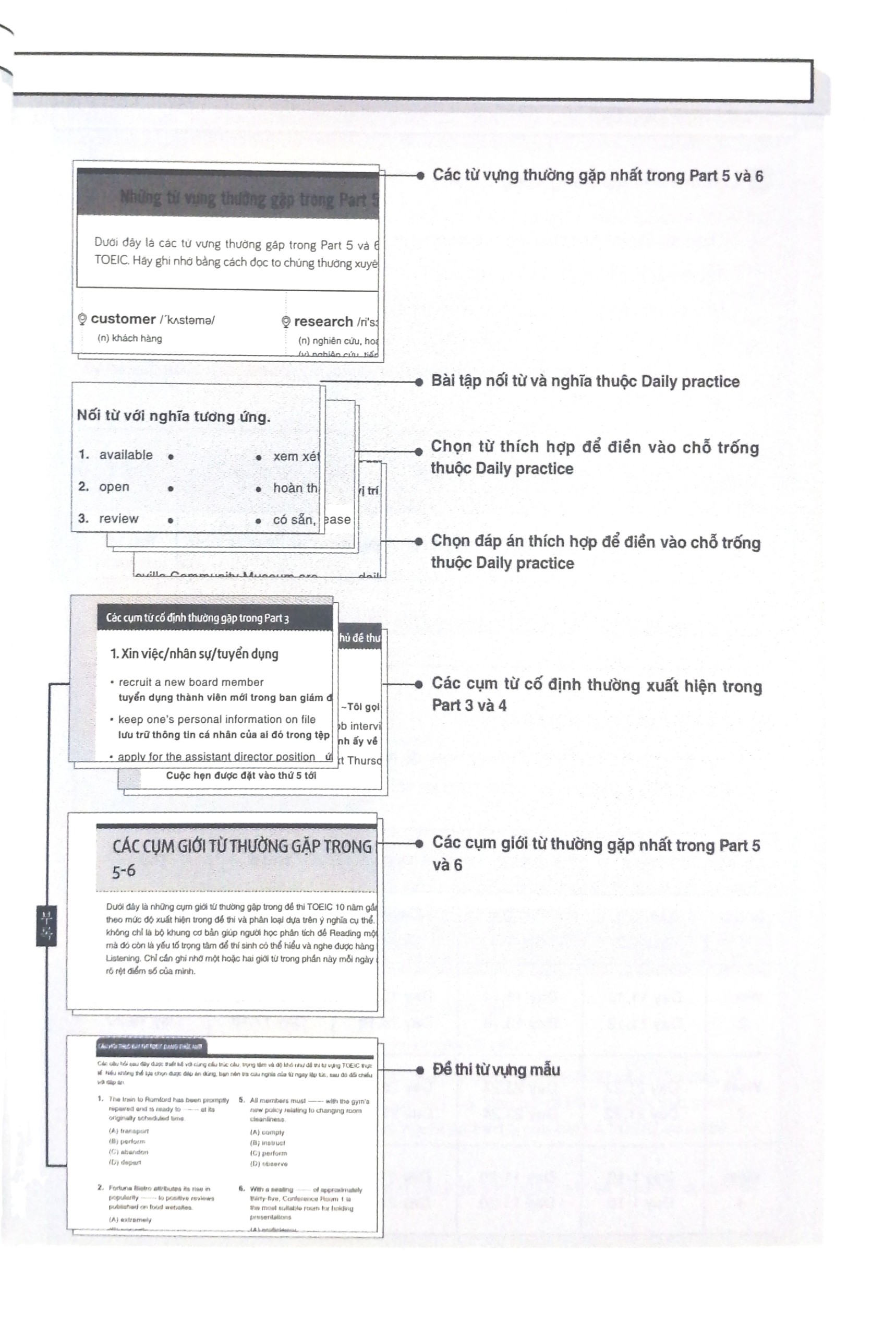 toeic vocab basic - 1000 từ vựng cơ bản kèm bài tập dành cho người mới bắt đầu (tái bản 2023)