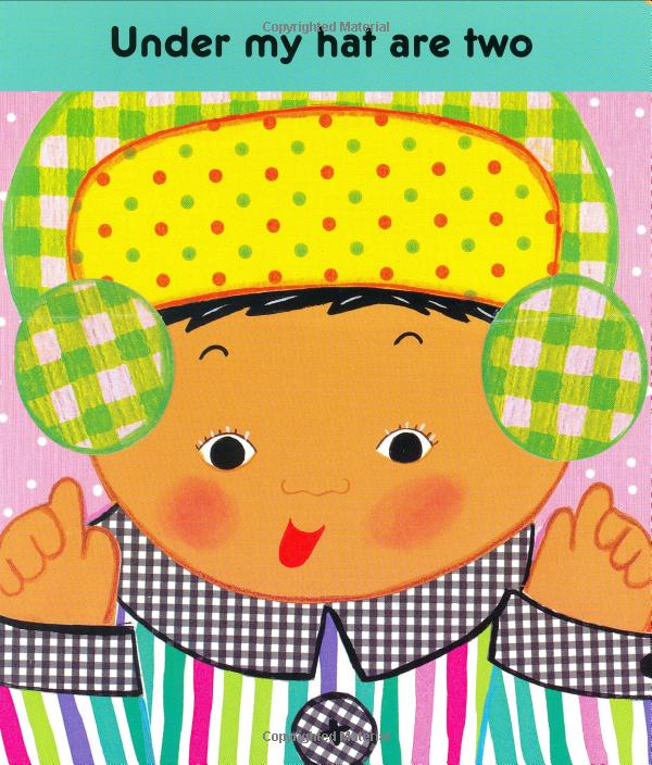 toes ears & nose : a lift-the flap book