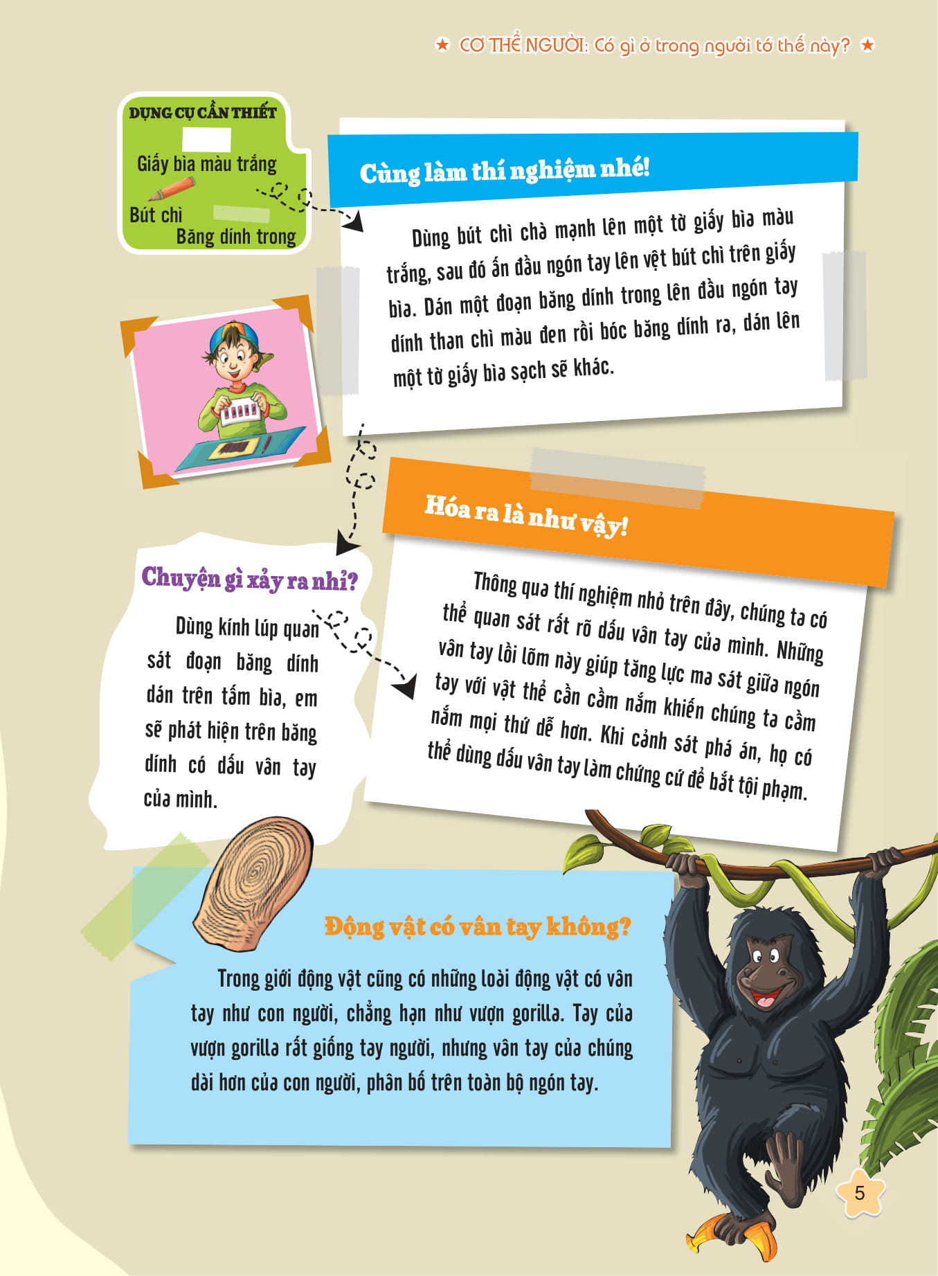 tôi biết bạn biết không - cơ thể người - có gì trong người tớ thế này