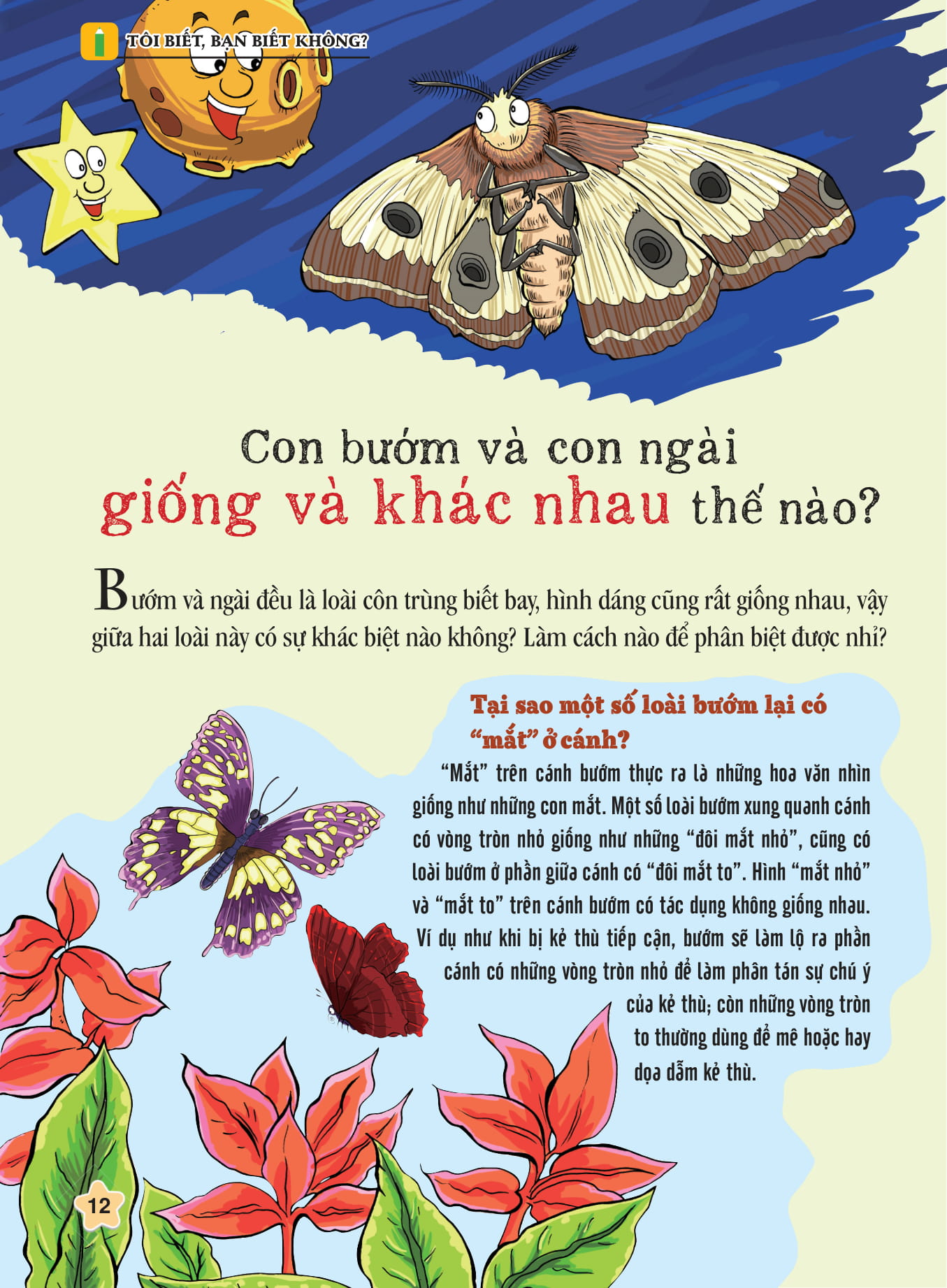 tôi biết bạn biết không - côn trùng - kính lúp siêu biết tuốt