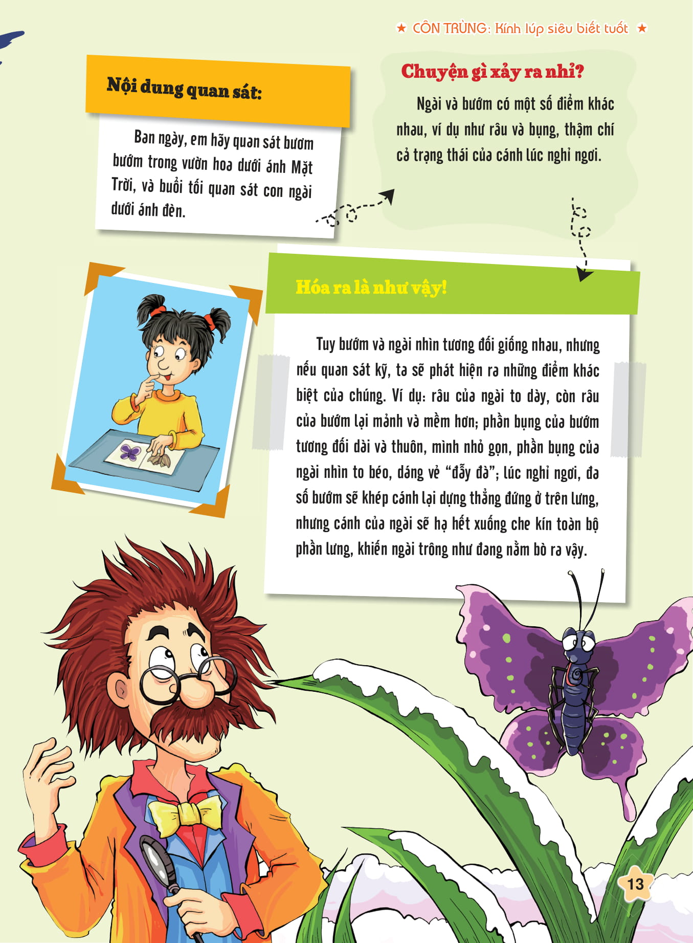 tôi biết bạn biết không - côn trùng - kính lúp siêu biết tuốt