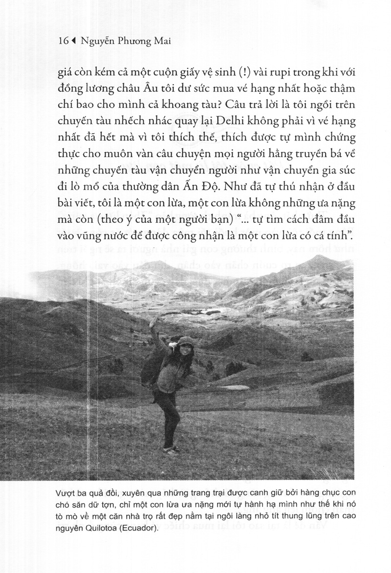 tôi là một con lừa (tái bản 2023)