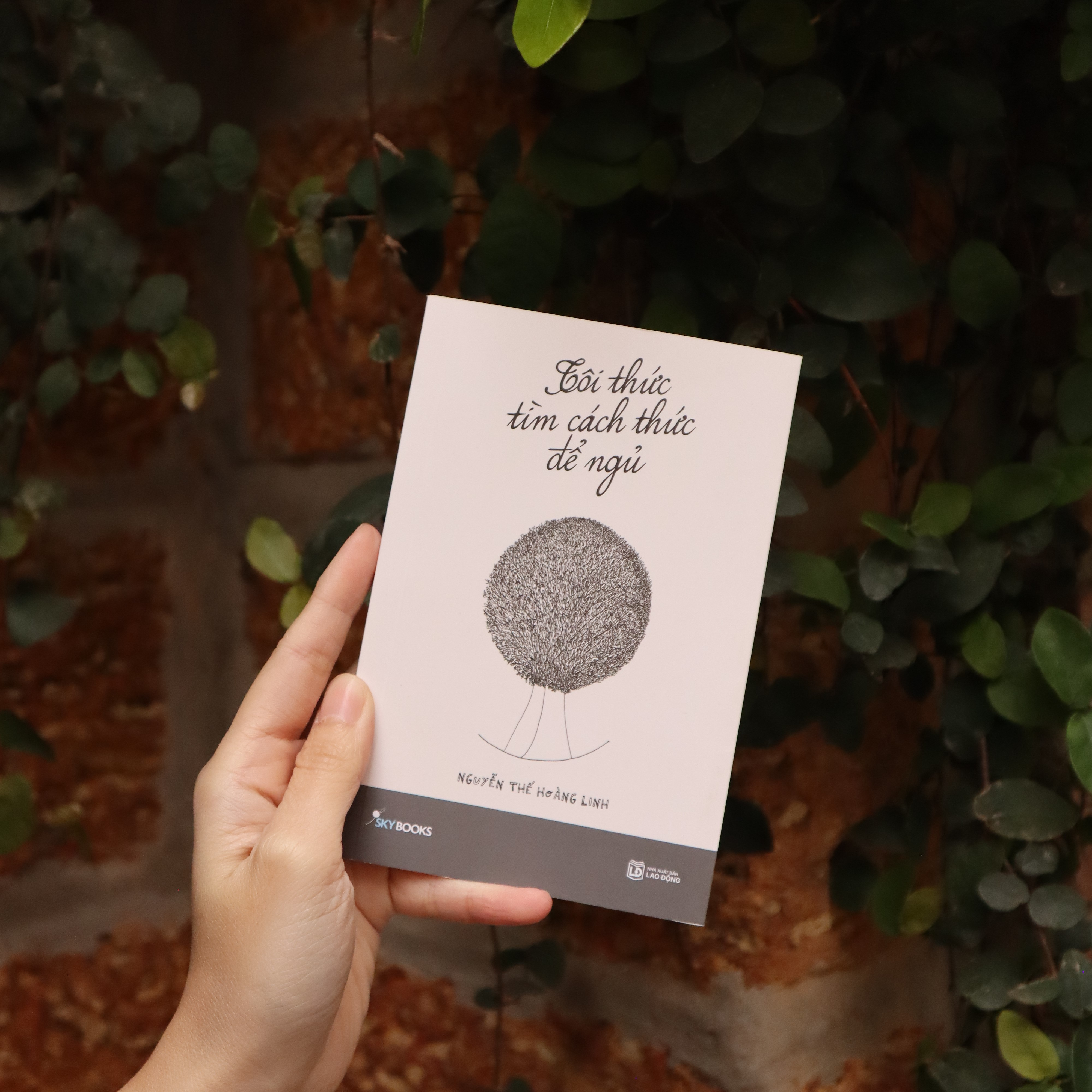 tôi thức tìm cách thức để ngủ